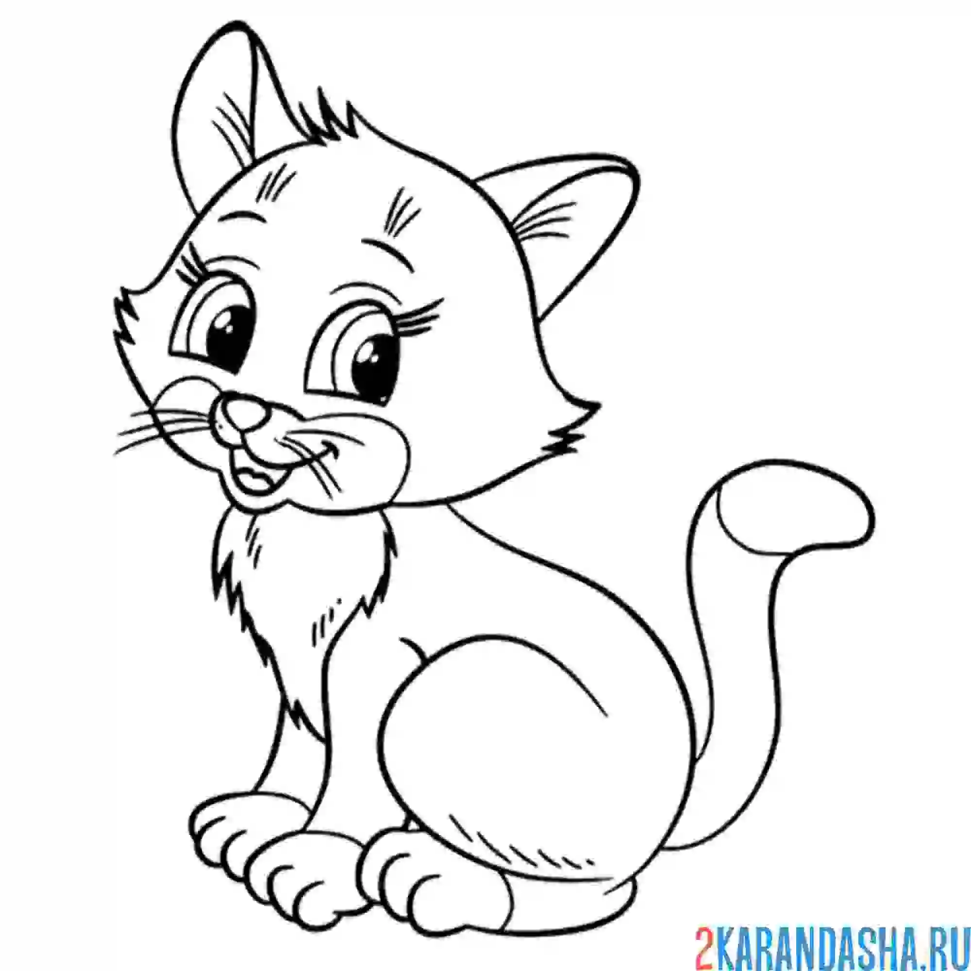 Раскраска кот сидит мяу