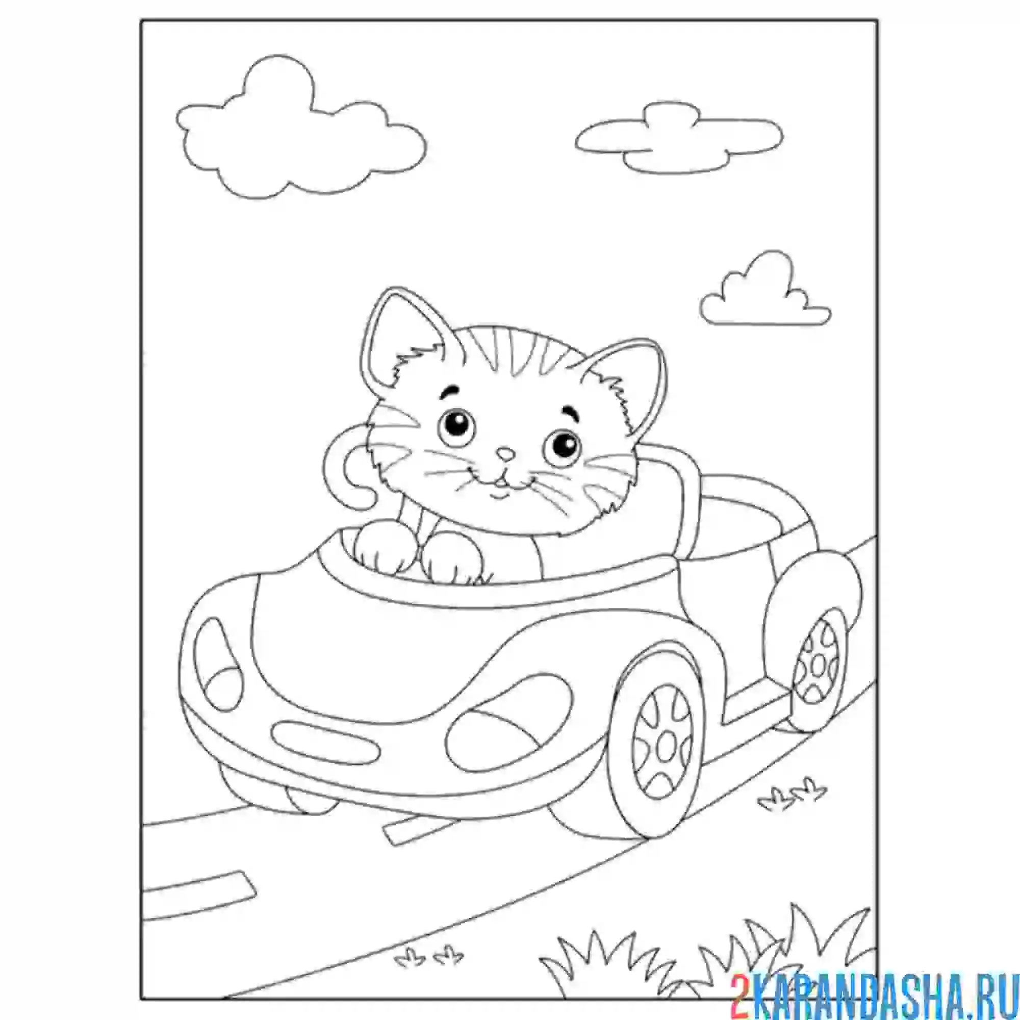 Раскраска кот на машине