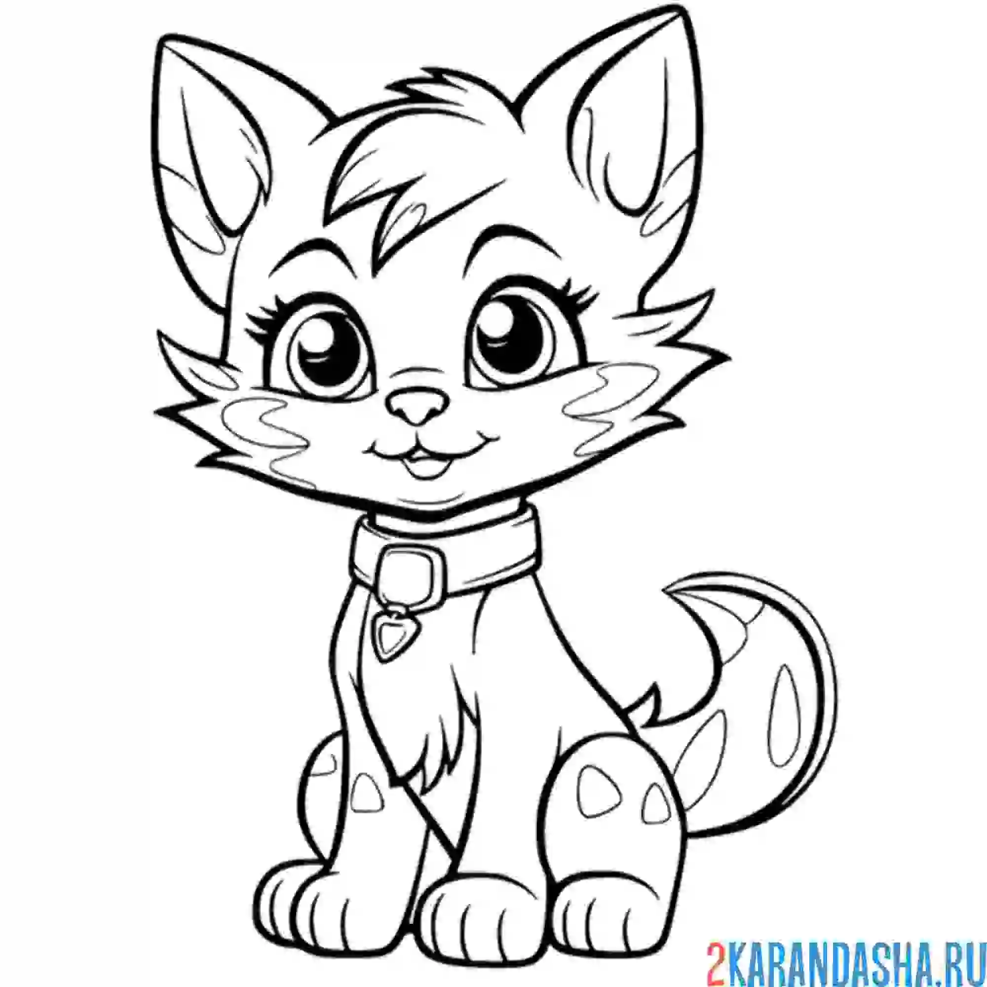 Раскраска котенок кошечка с ошейником