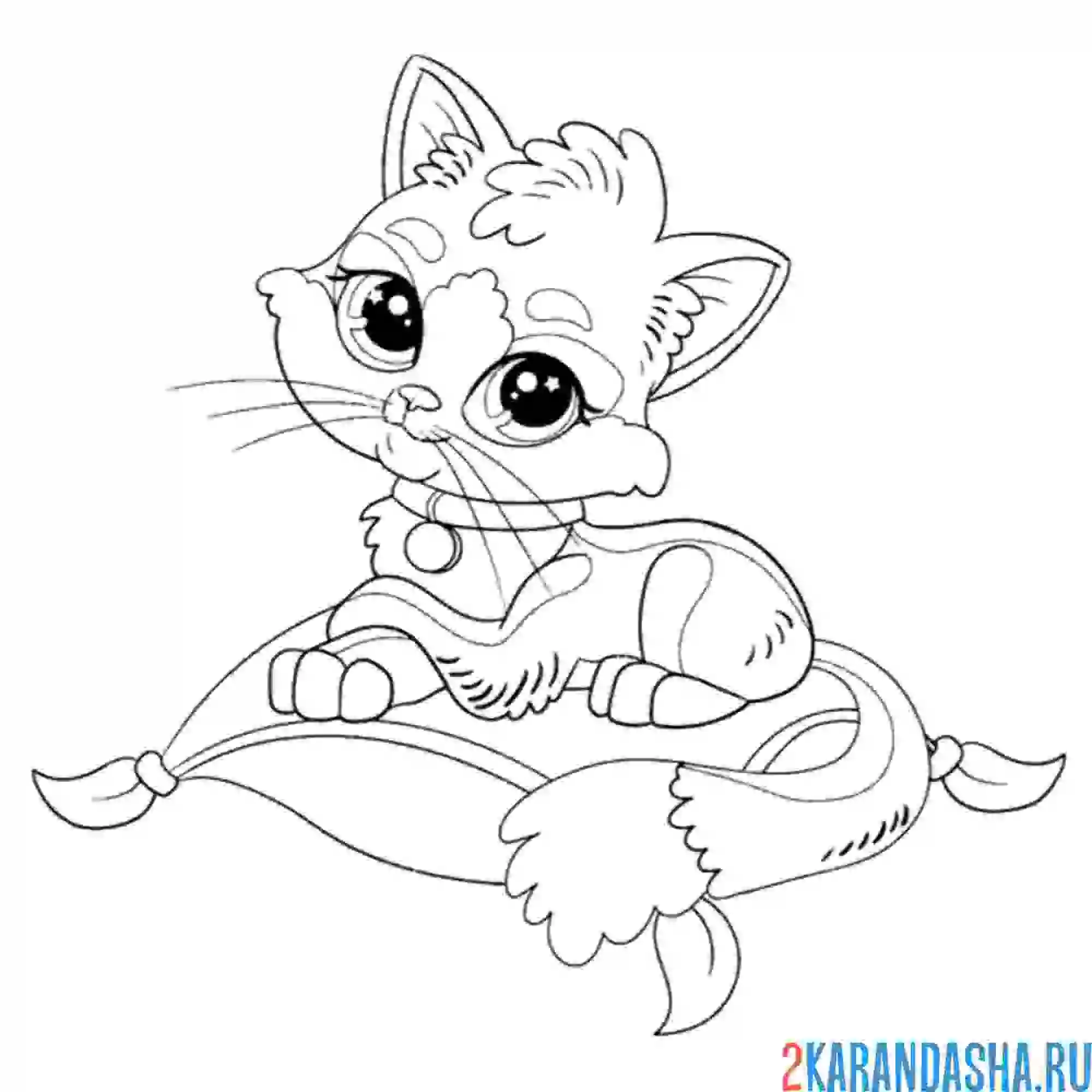 Раскраска котик сидит на подушке