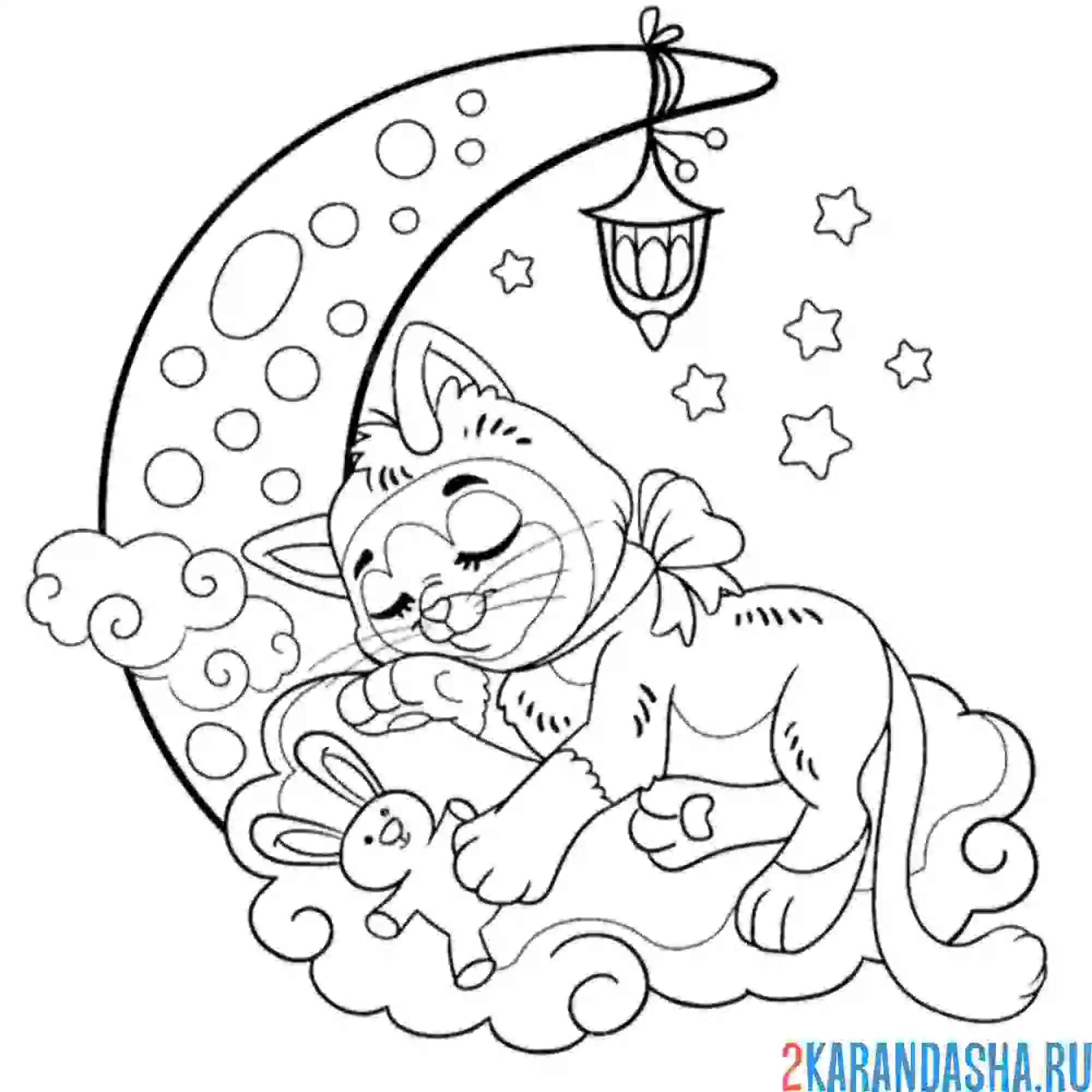 Раскраска кошечка кот спит на луне