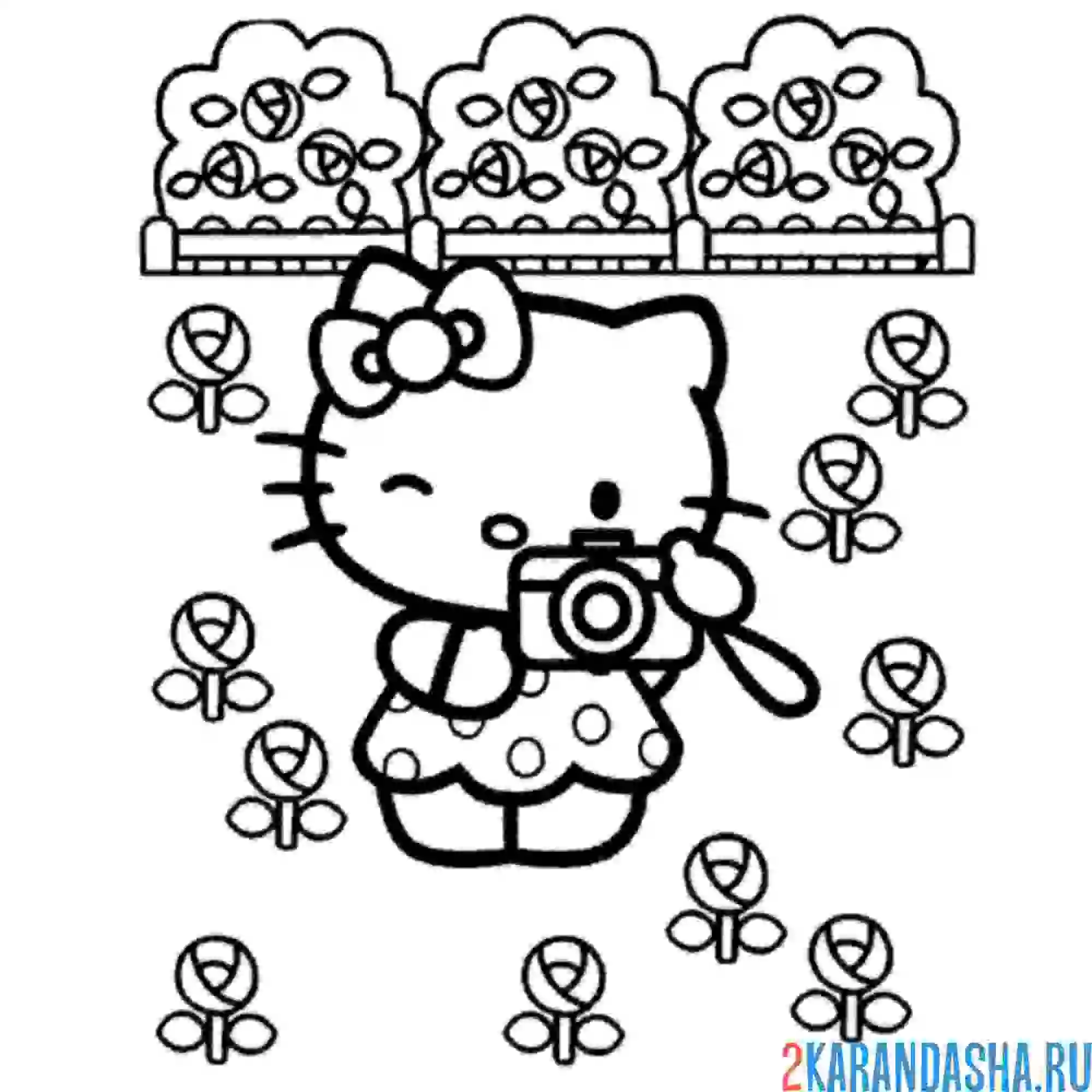 Раскраска китти фотографирует