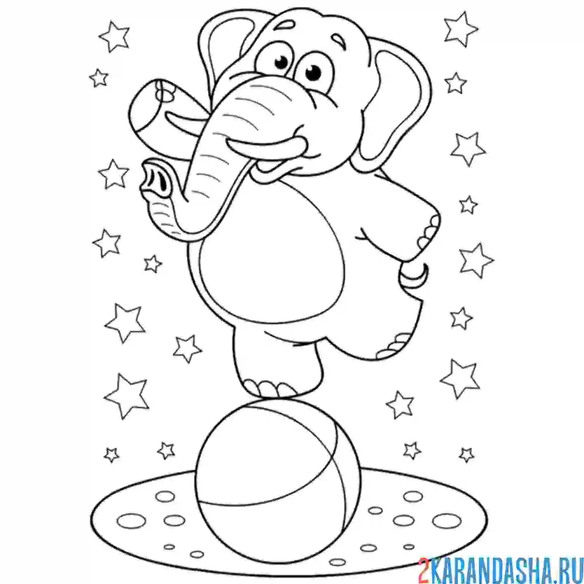 Раскраска слон на мяче