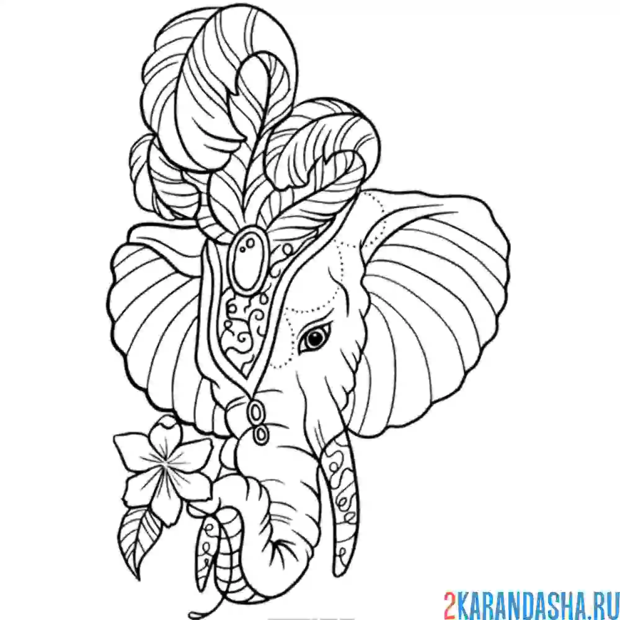 Раскраска слон красивый нарядный