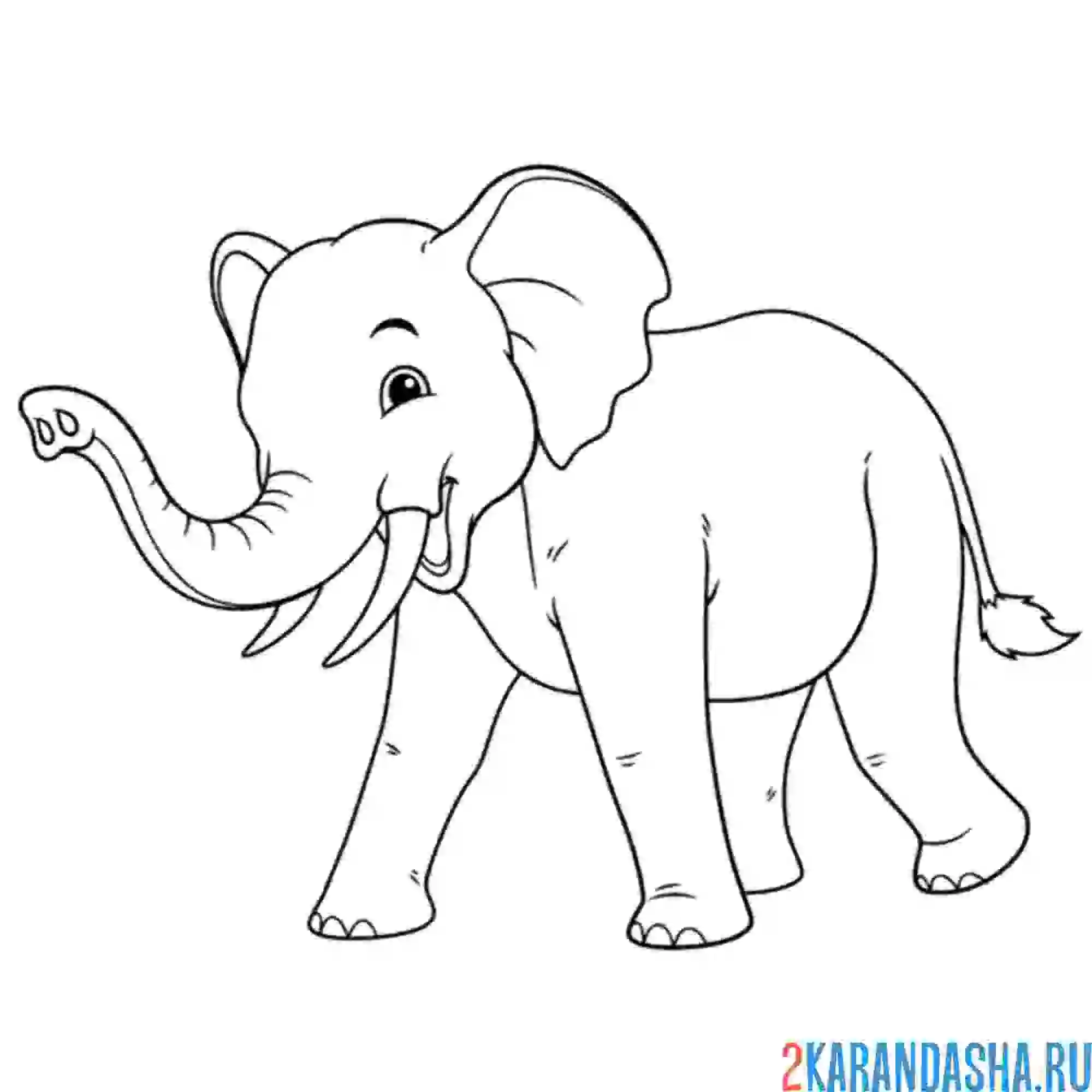 Раскраска слон африканский в саванне