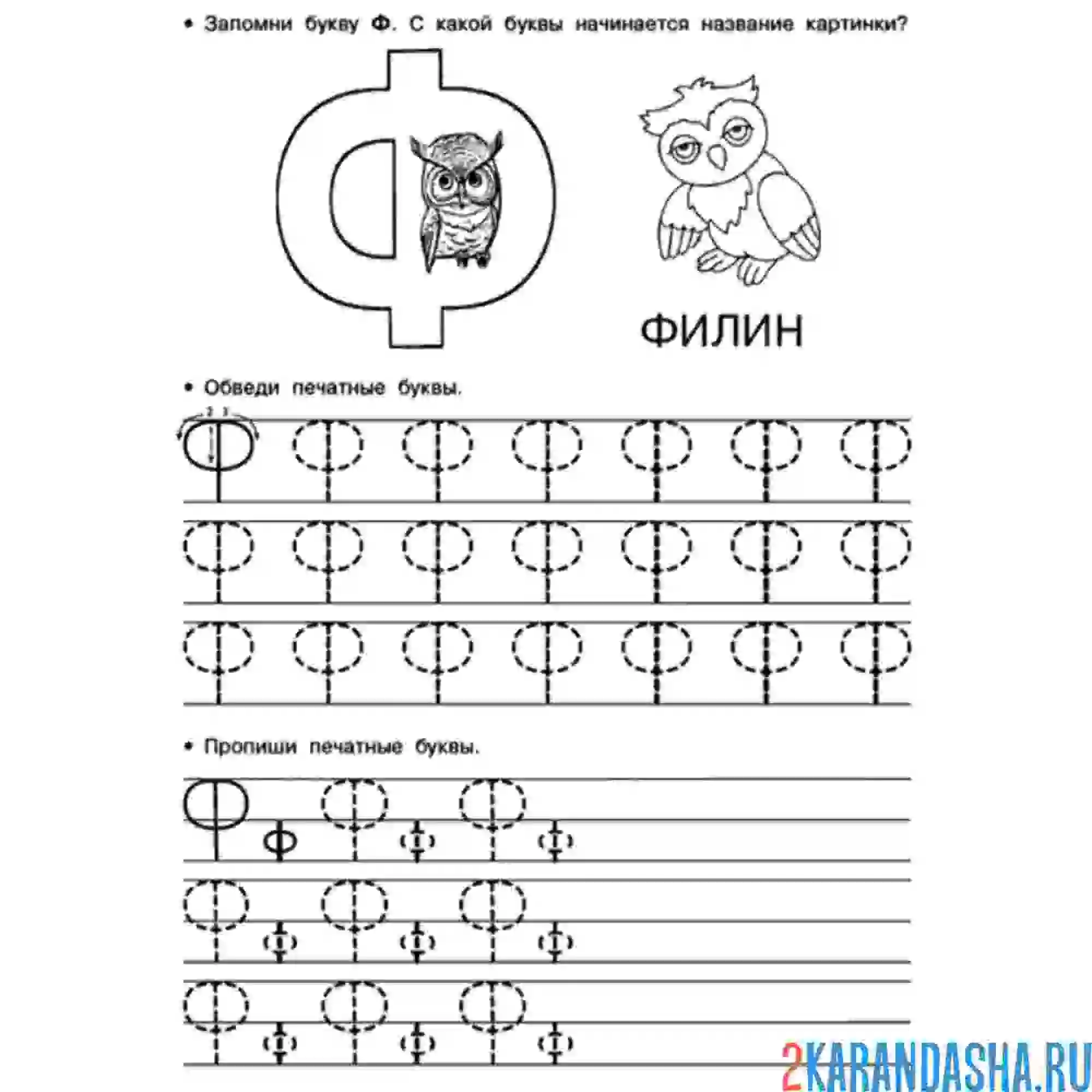 Раскраска печатная буква ф в прописи