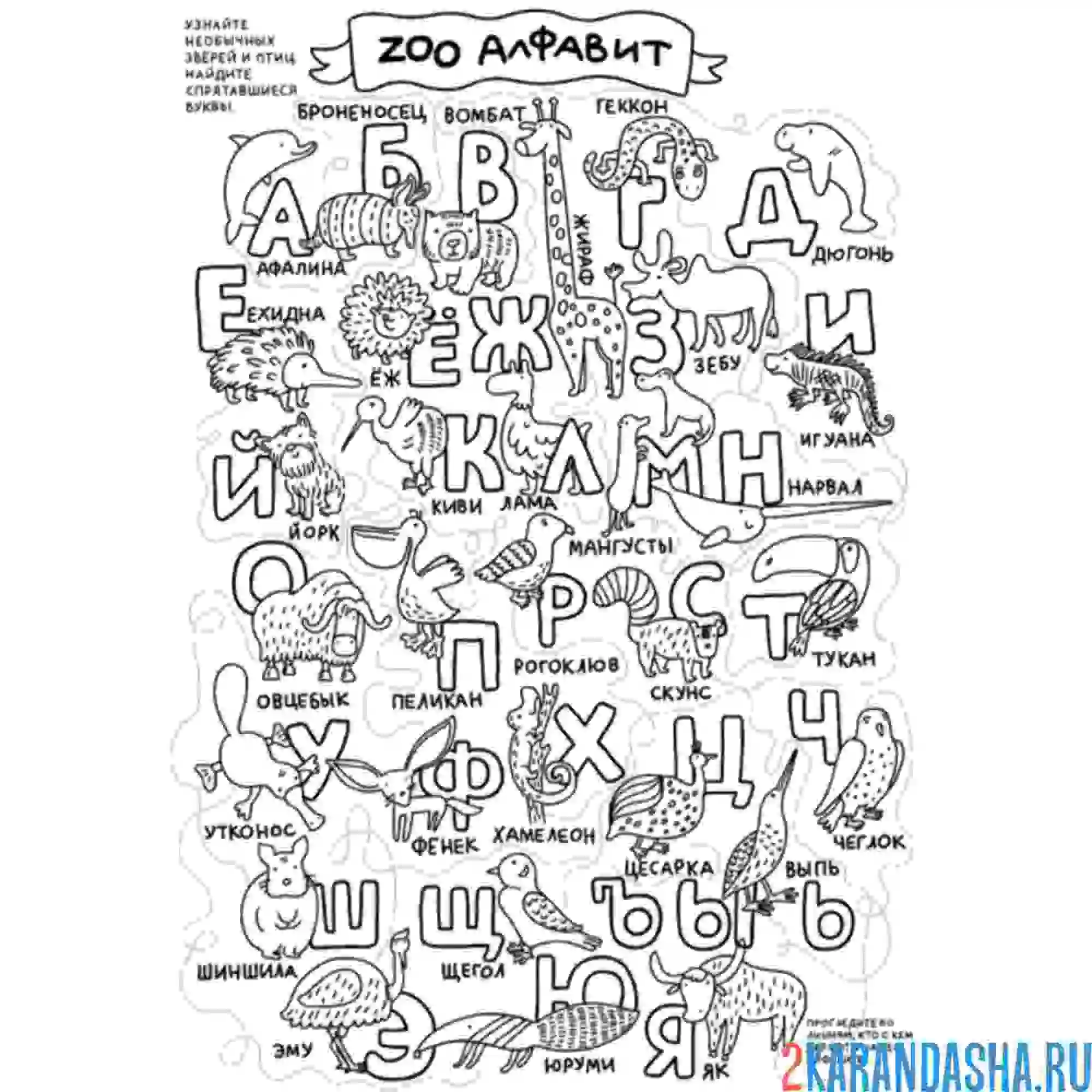 Раскраска зоо алфавит