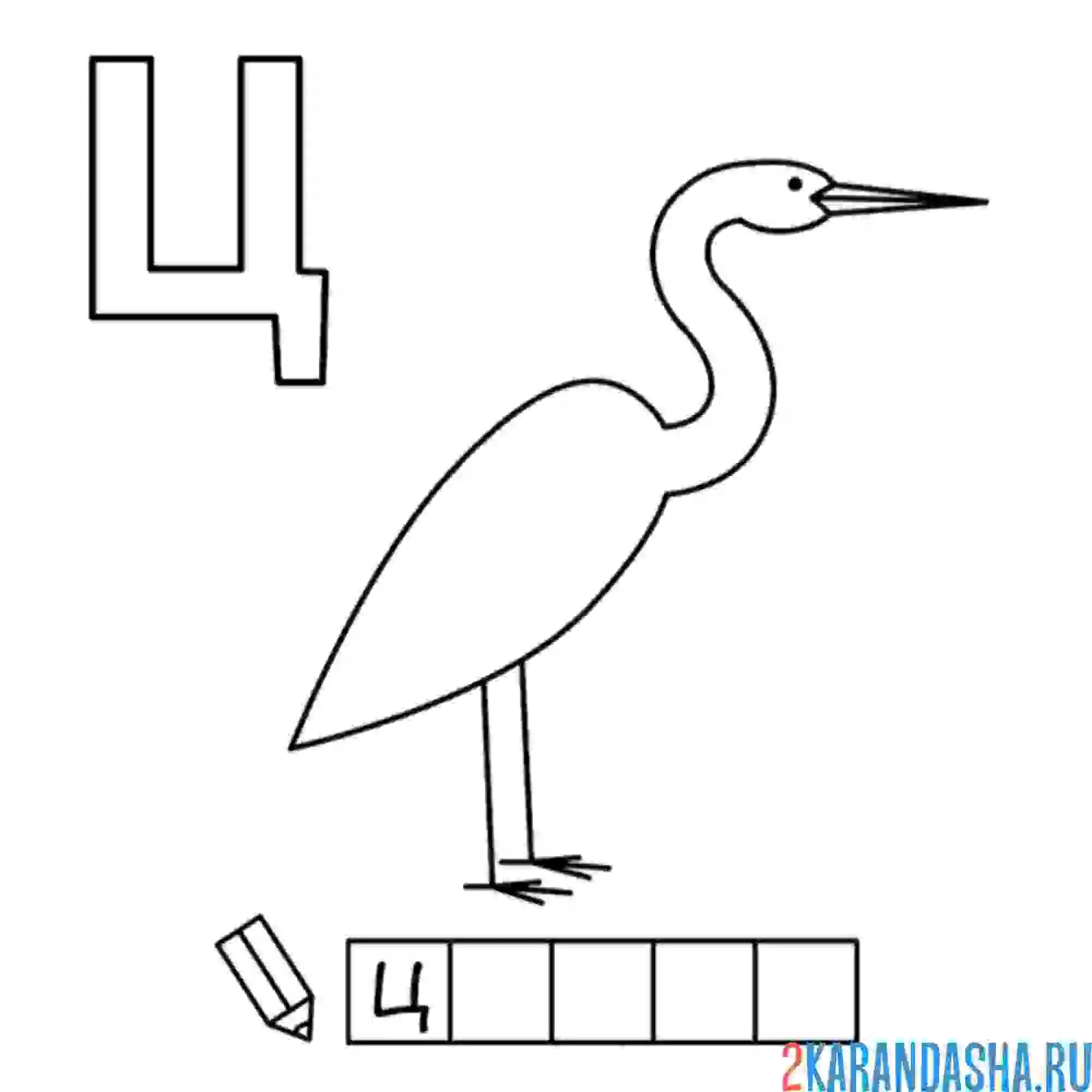 Раскраска алфавит буква ц