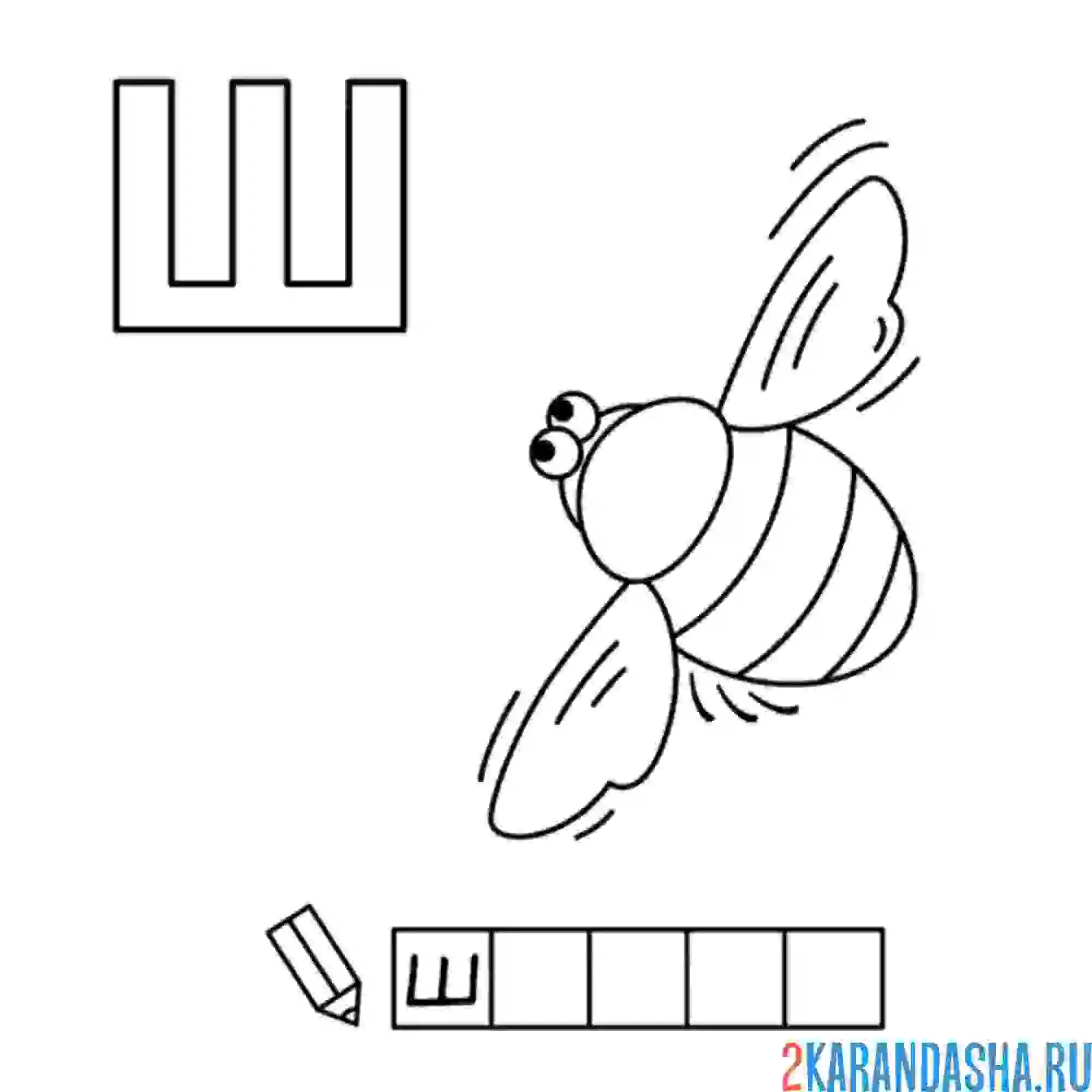 Раскраска алфавит буква ш