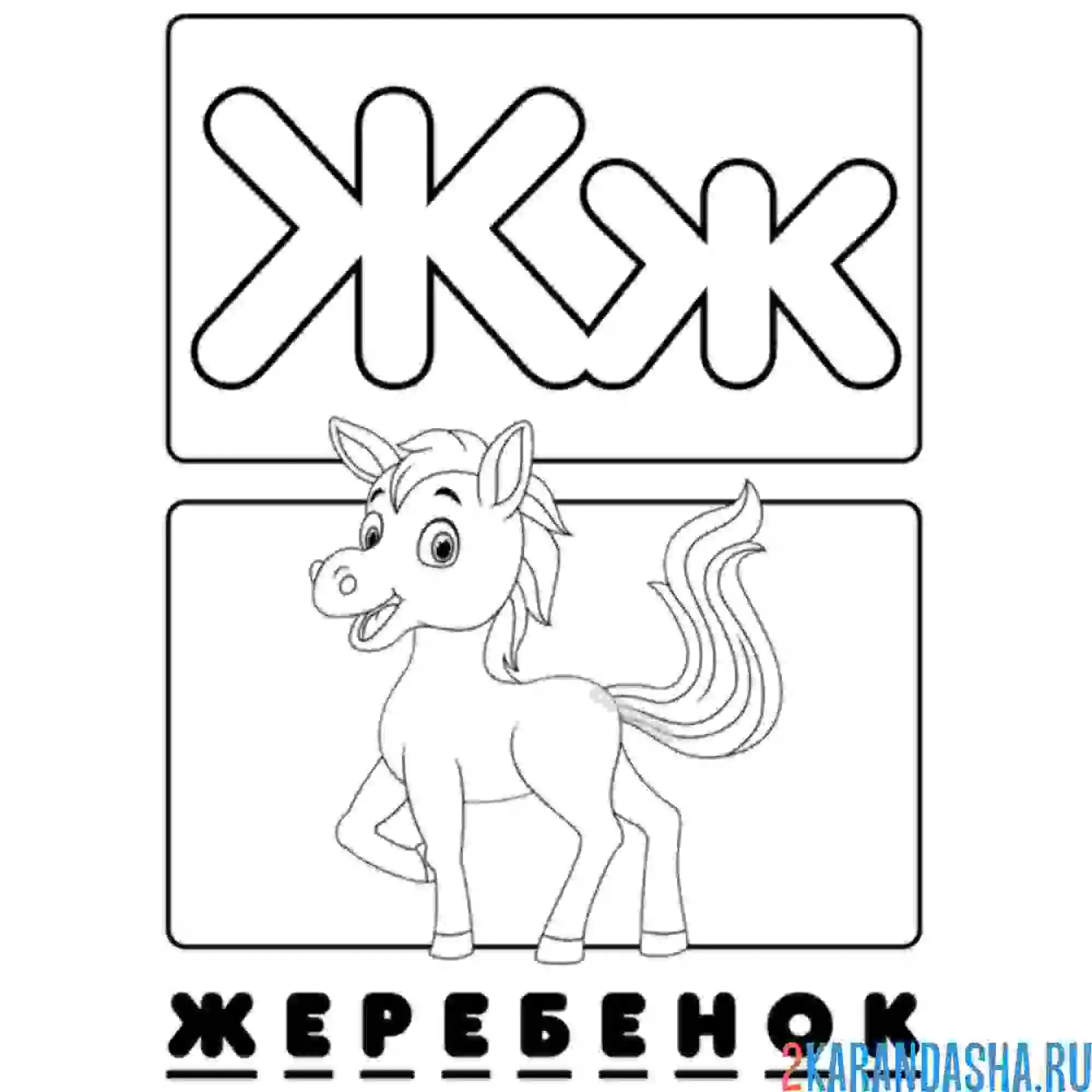 Раскраска буква ж жеребенок алфавит