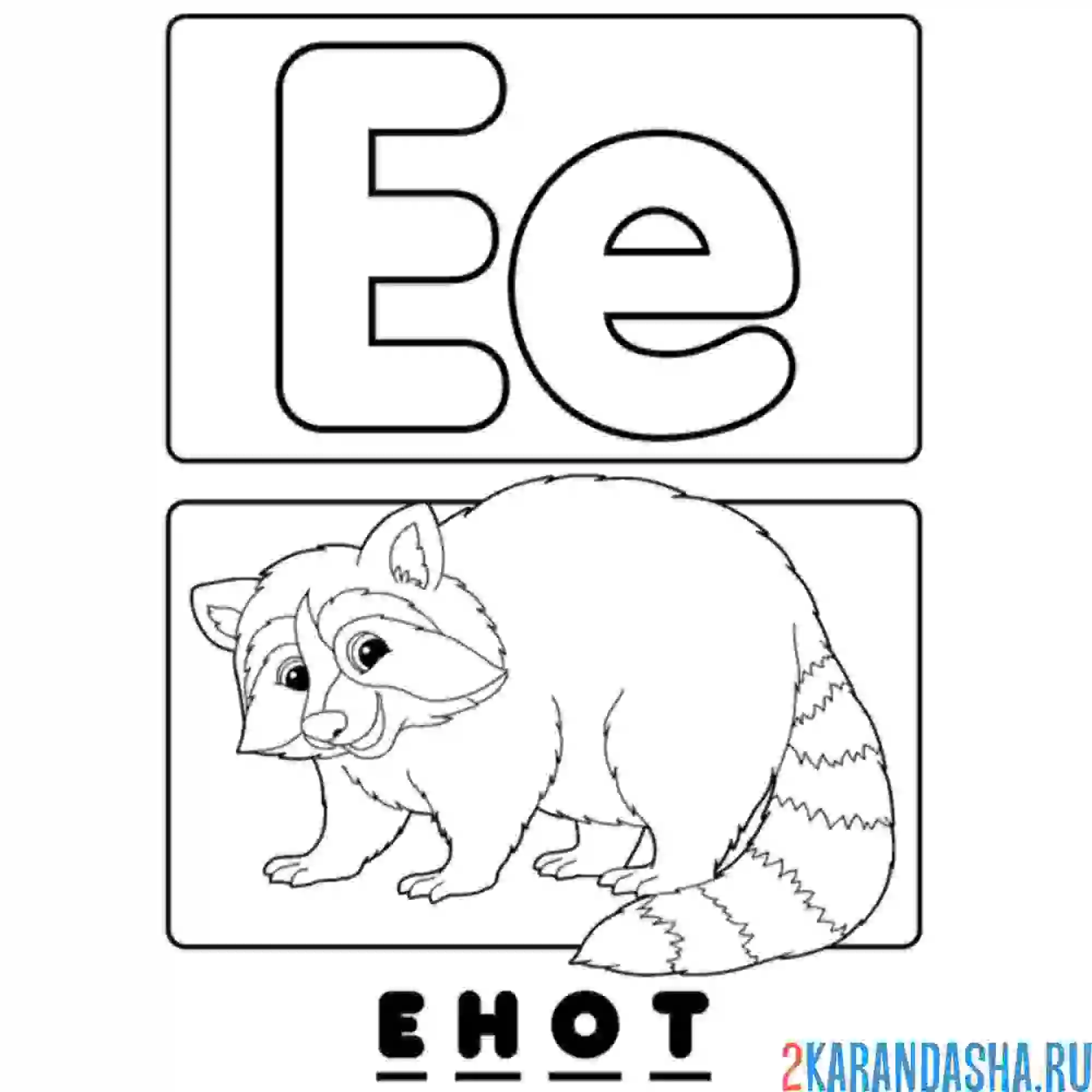 Раскраска буква е енот алфавит
