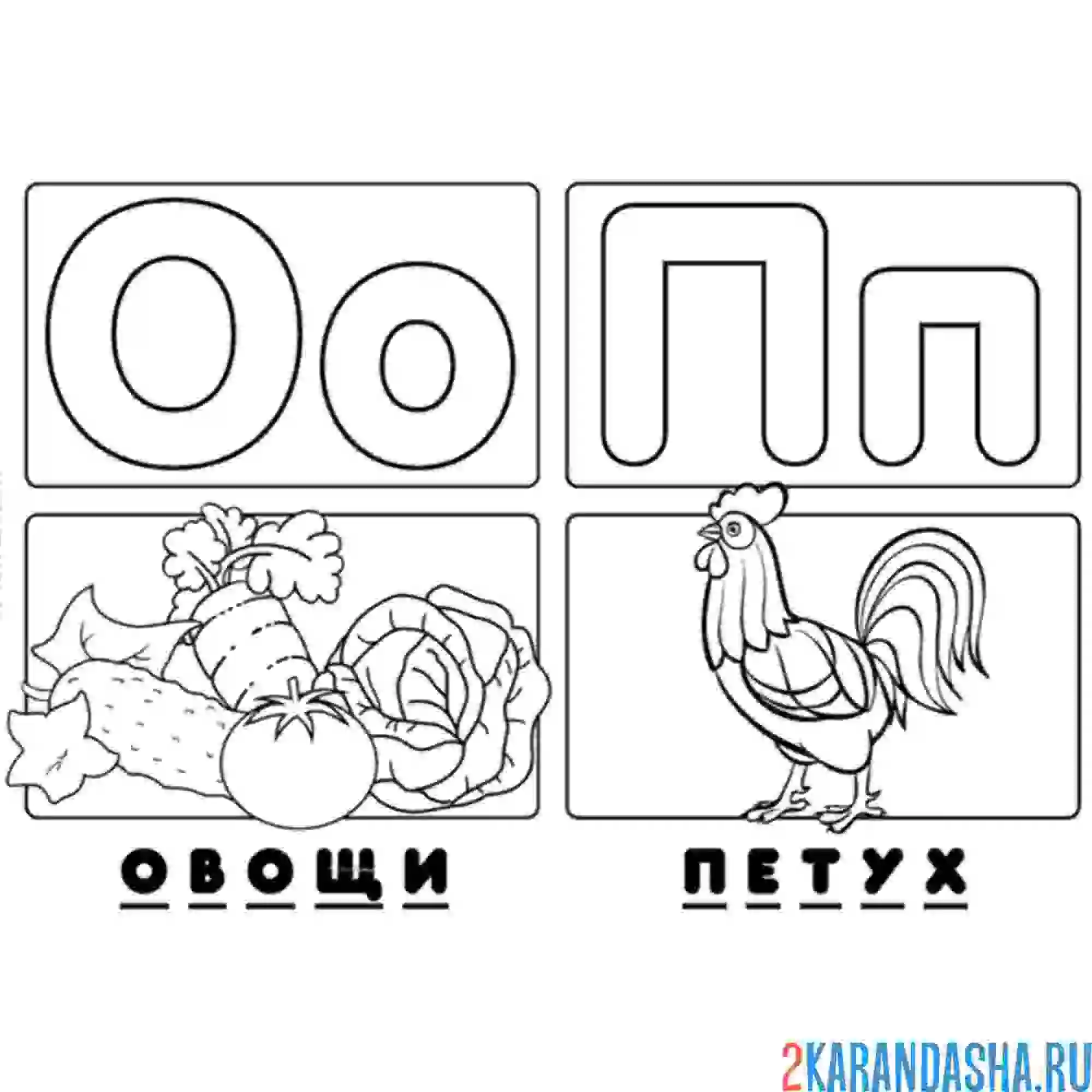 Раскраска буква о п алфавит