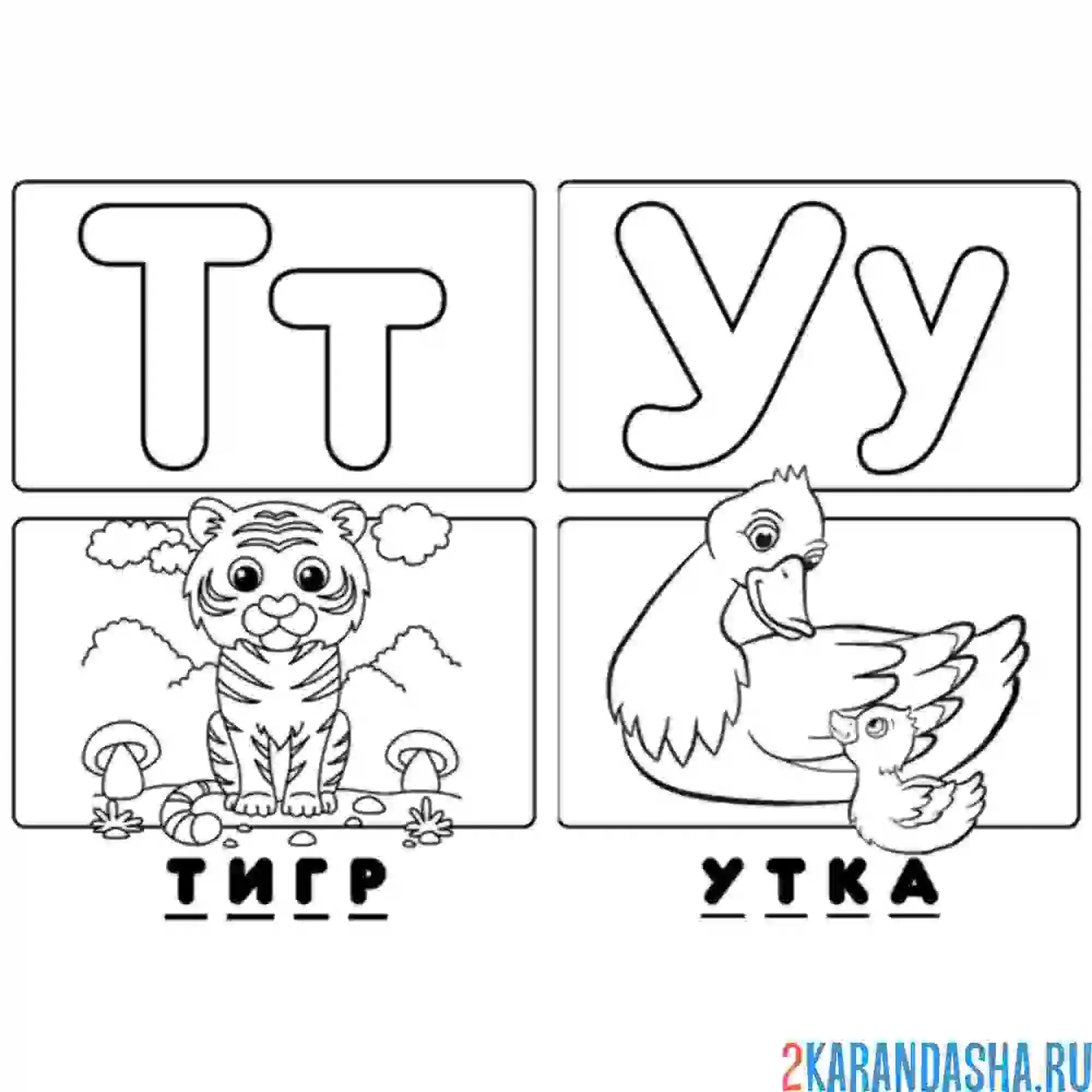 Раскраска буква т у алфавит