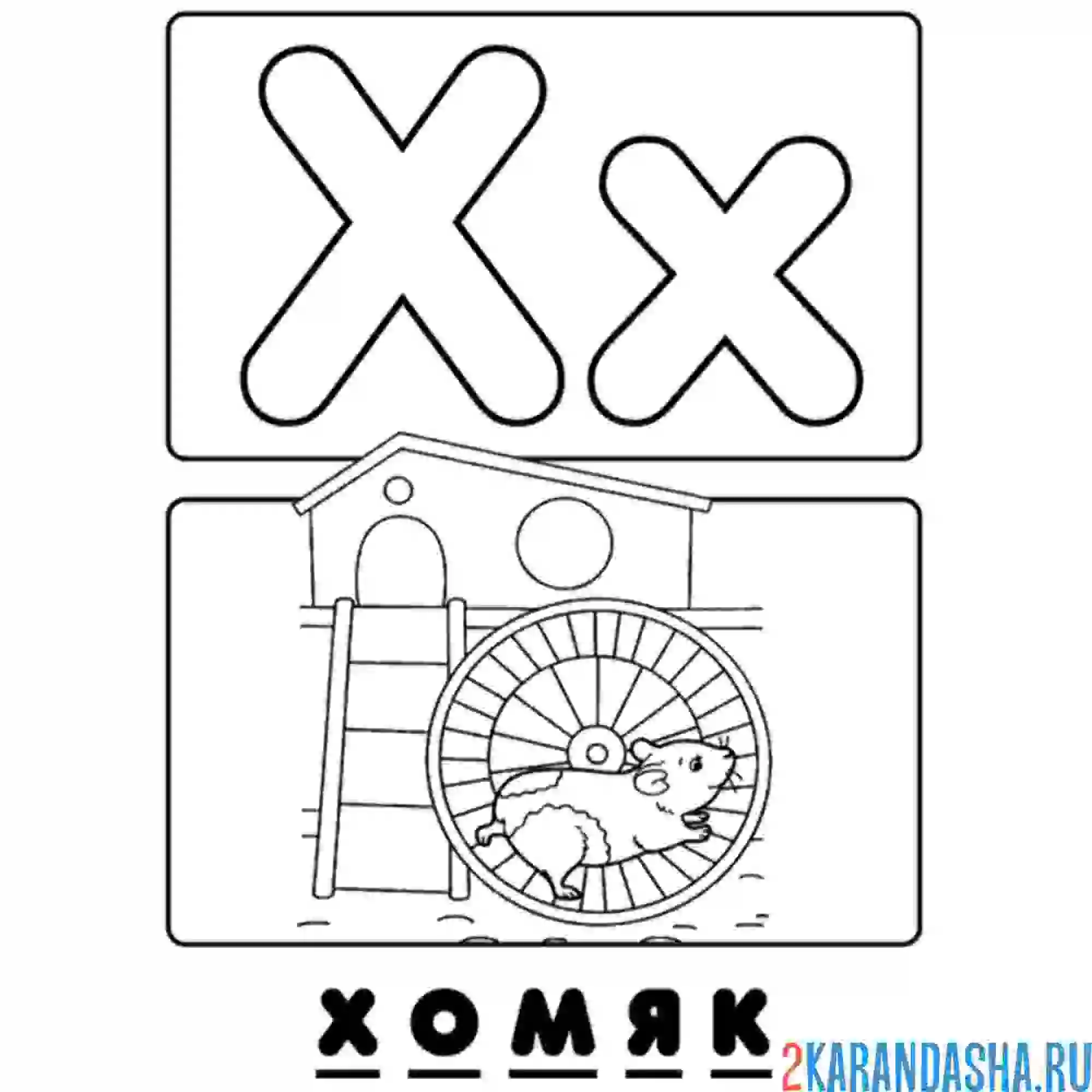Раскраска буква х хомяк алфавит