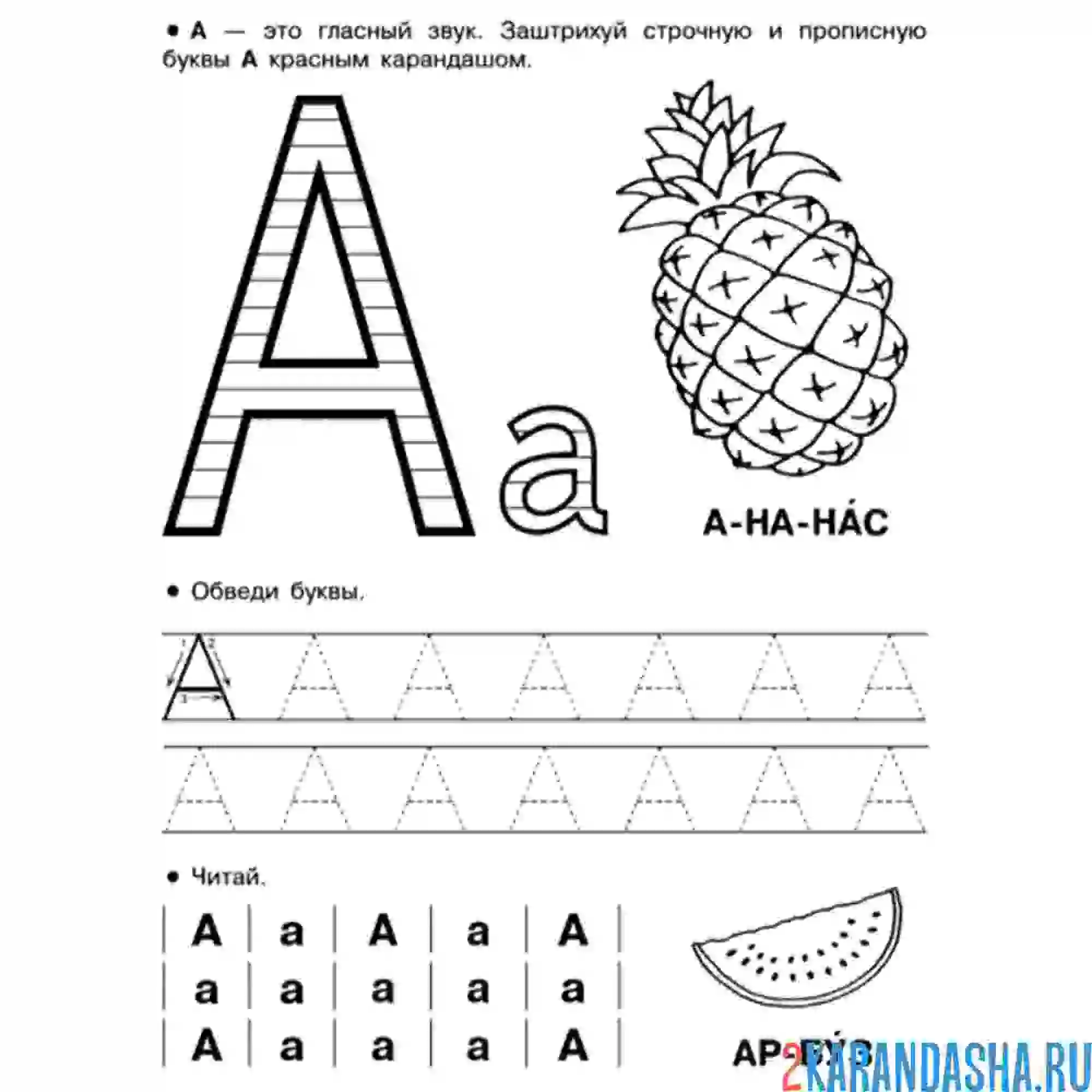 Раскраска печатная буква а и рисунок