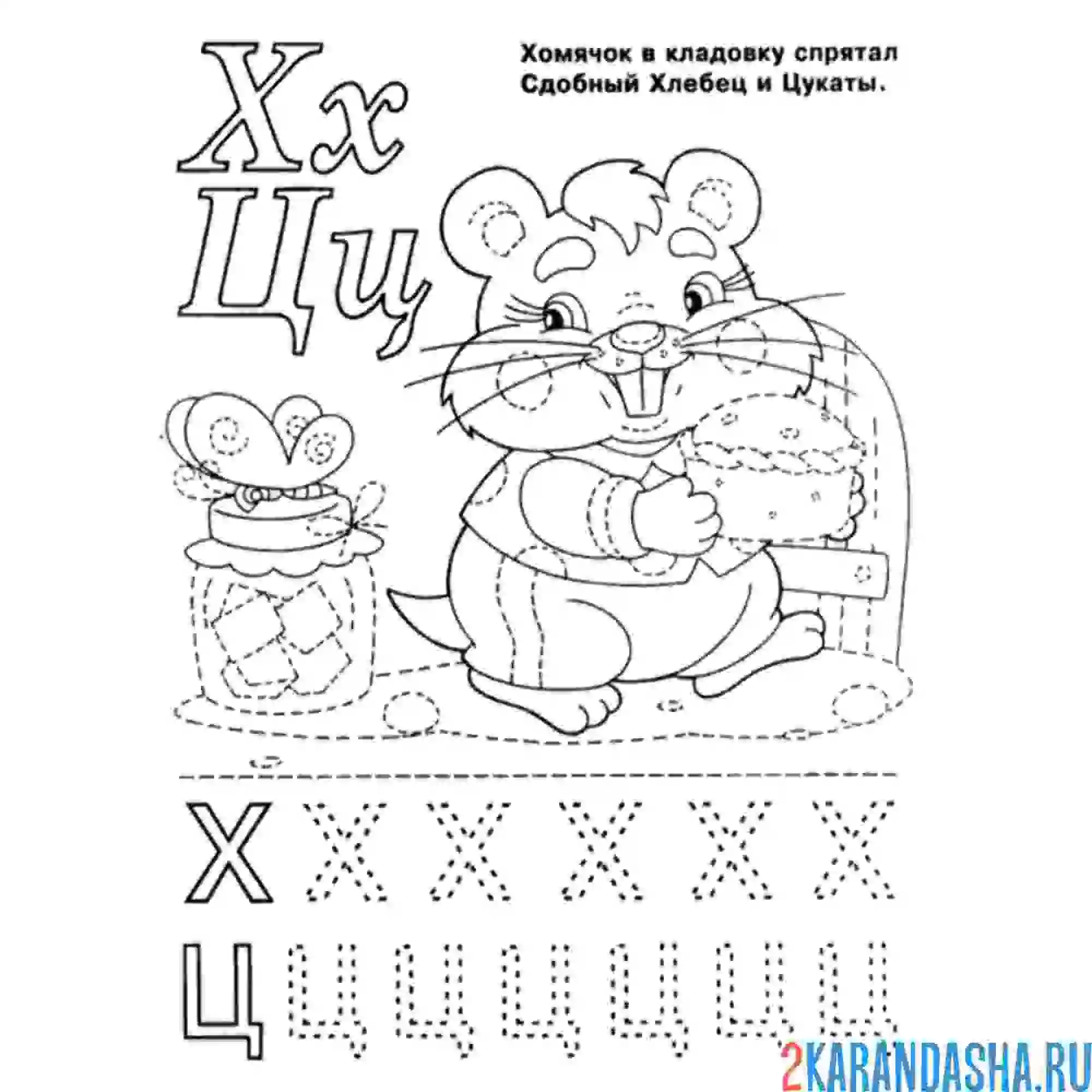 Раскраска буква х ц пропись