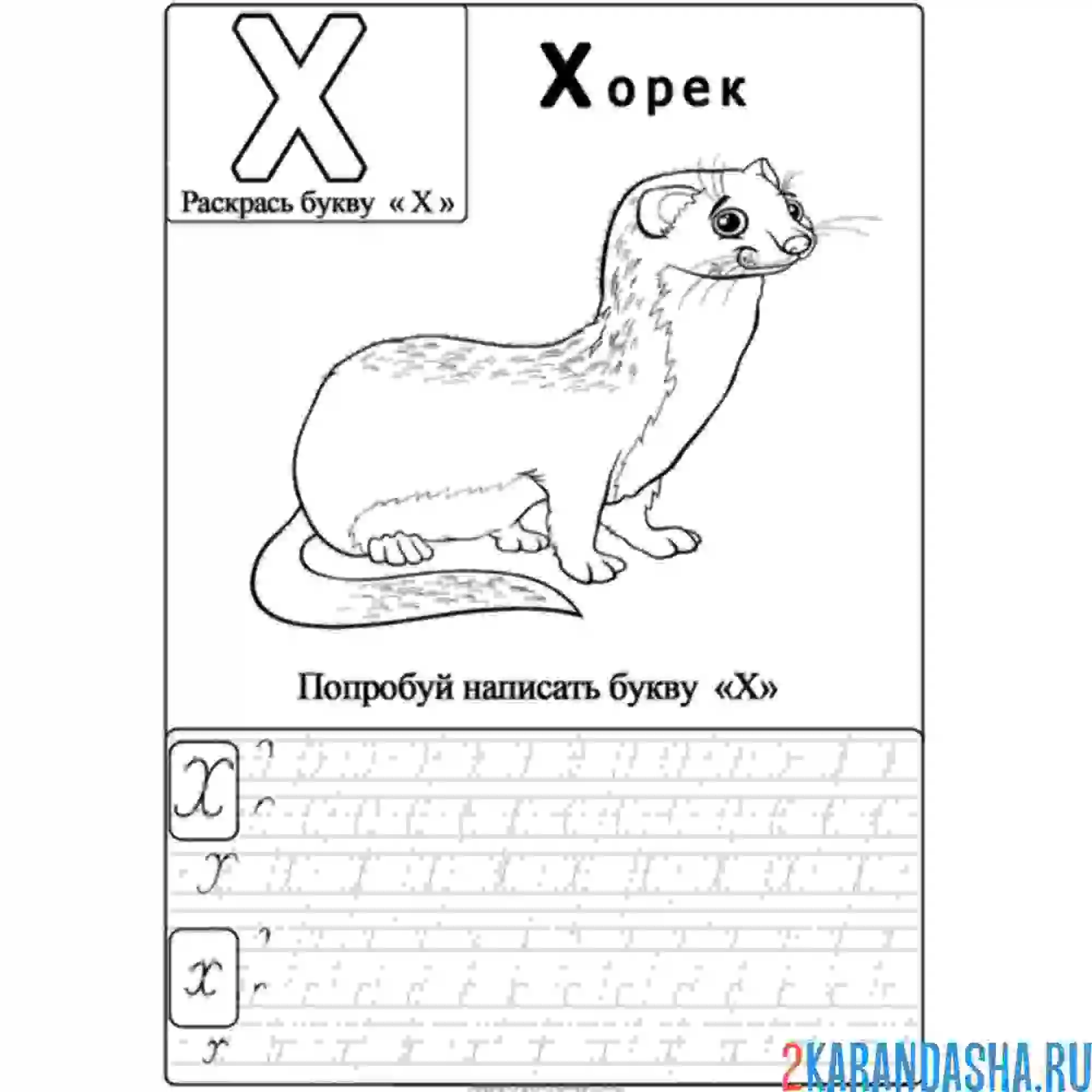Раскраска буква х пропись с картинкой