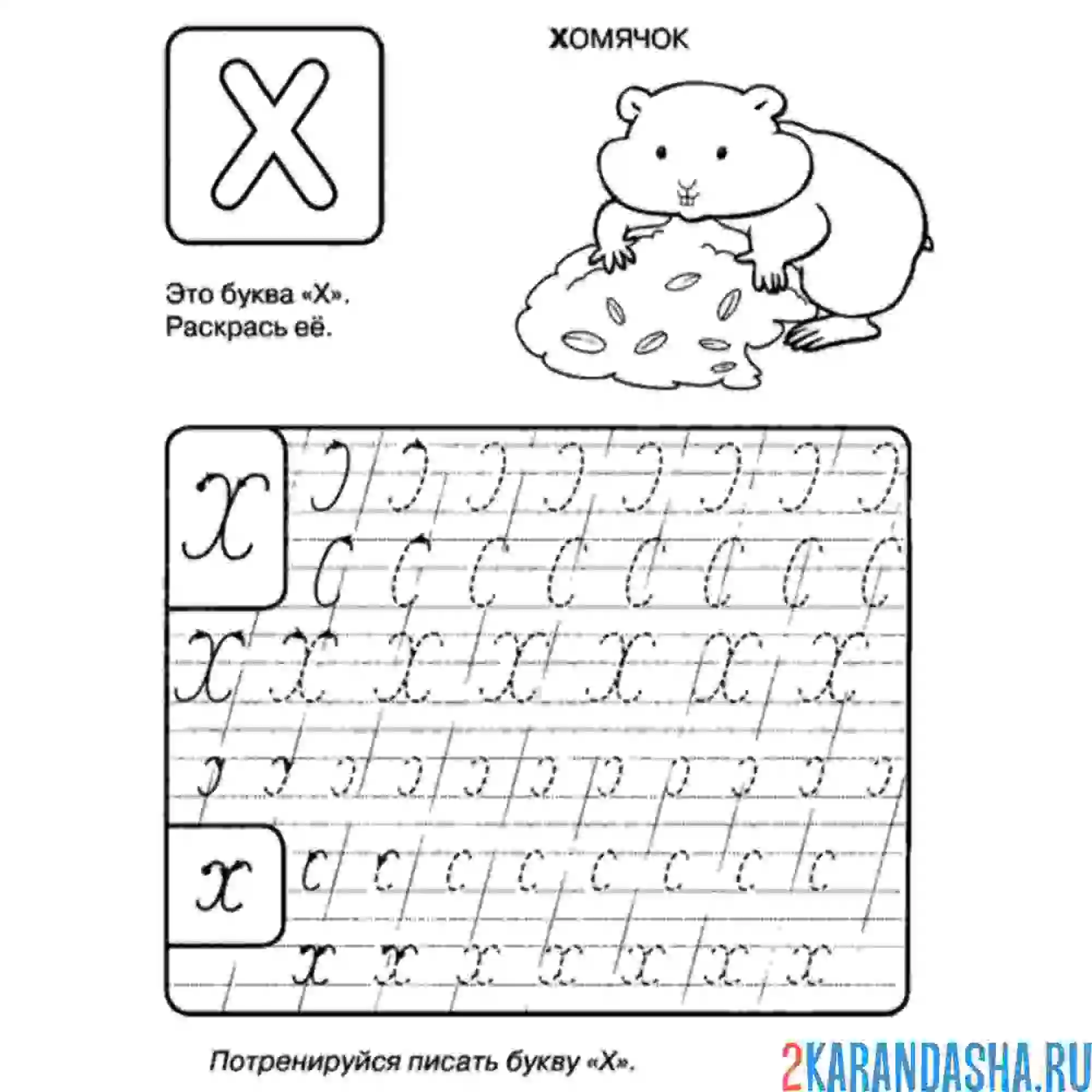 Раскраска пропись буква х строчная и заглавная