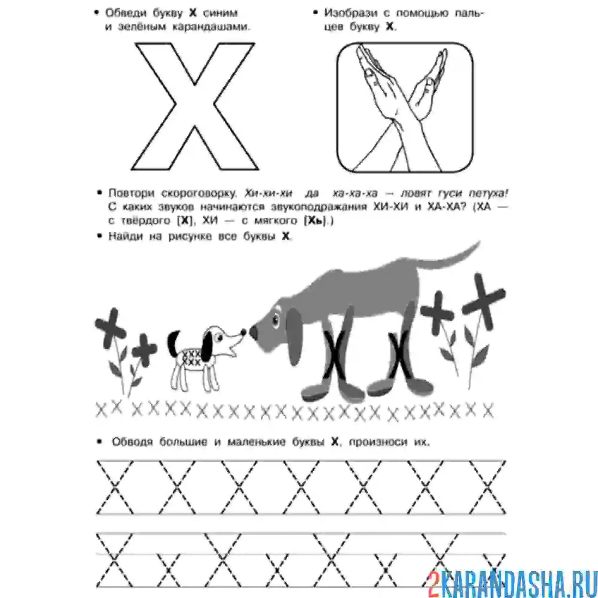 Раскраска обведи буква х и задание