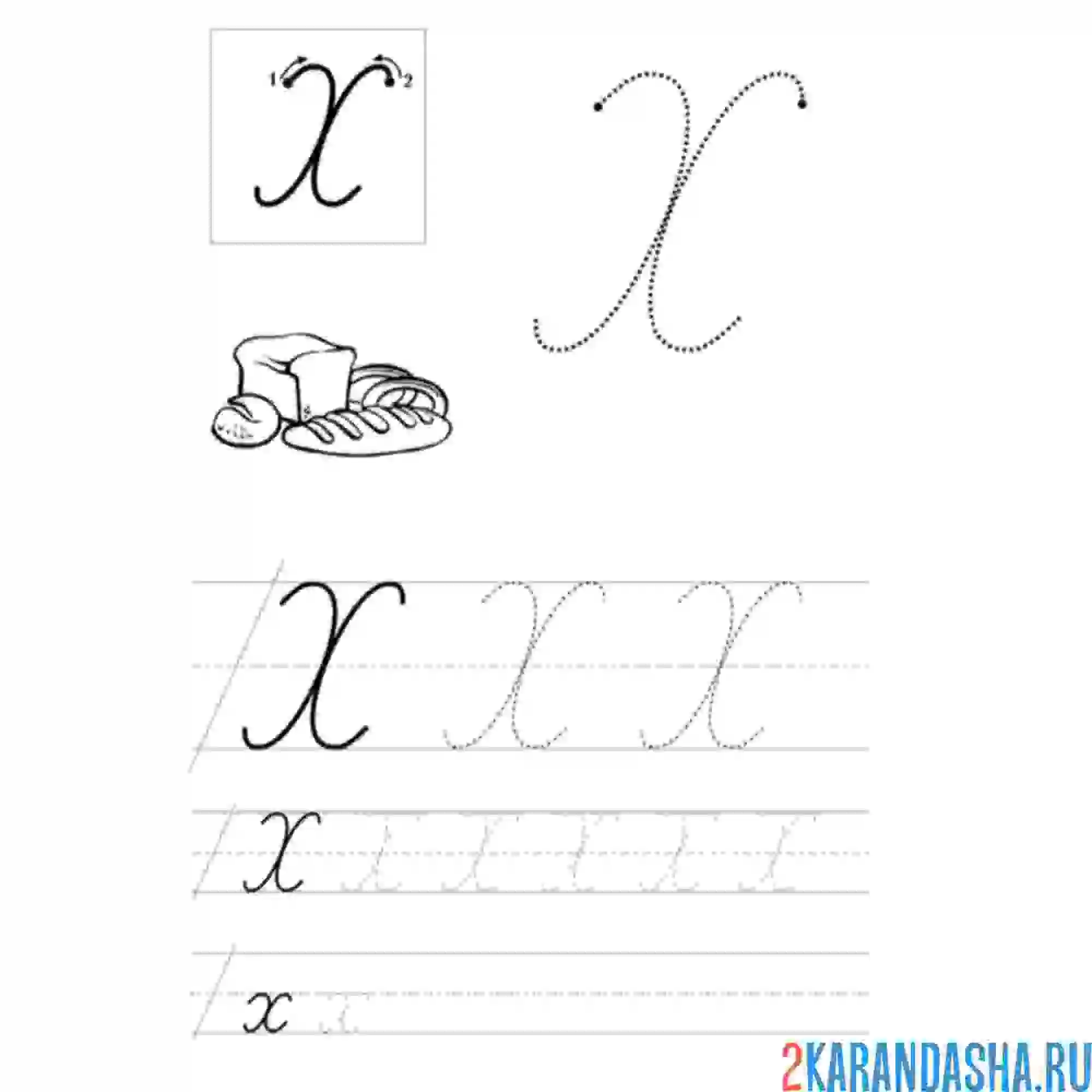 Раскраска прописная и строчная буква х пропись