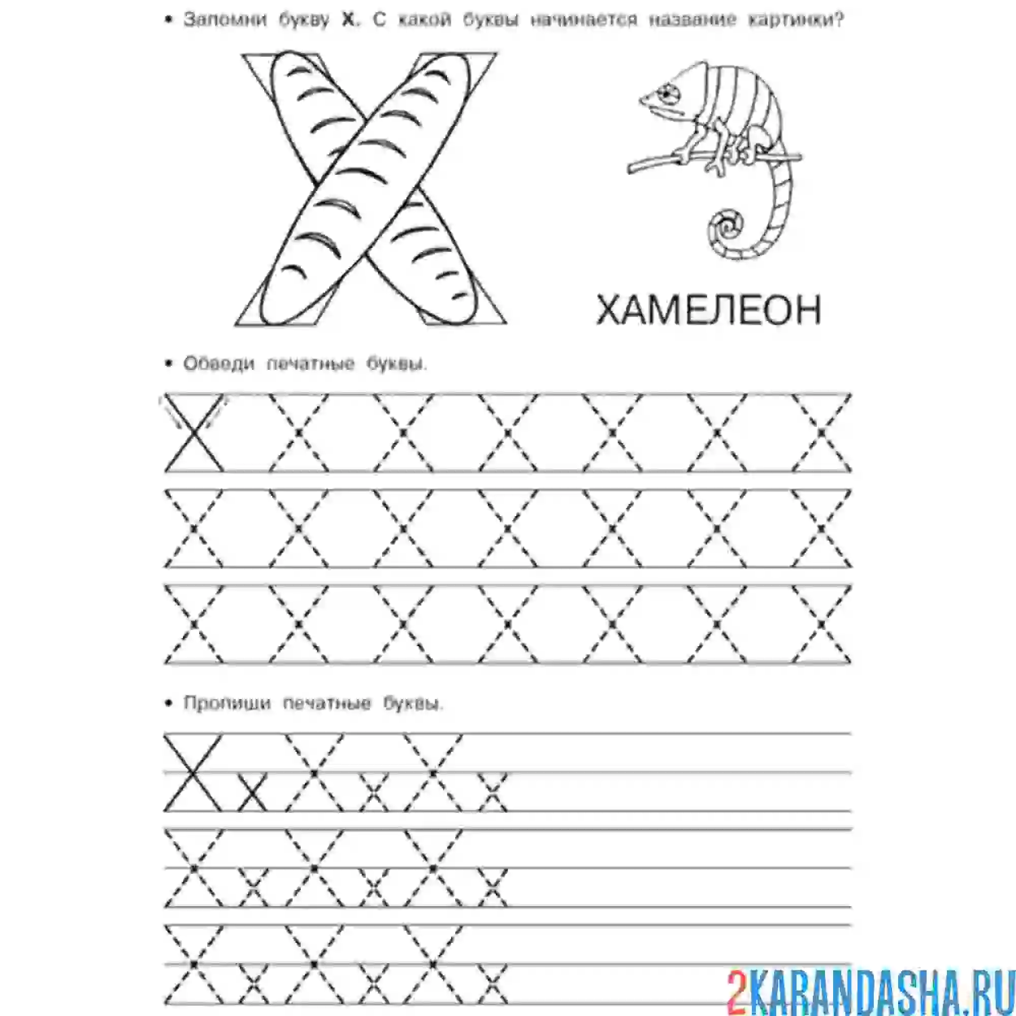Раскраска печатные заглавные и строчные буква х