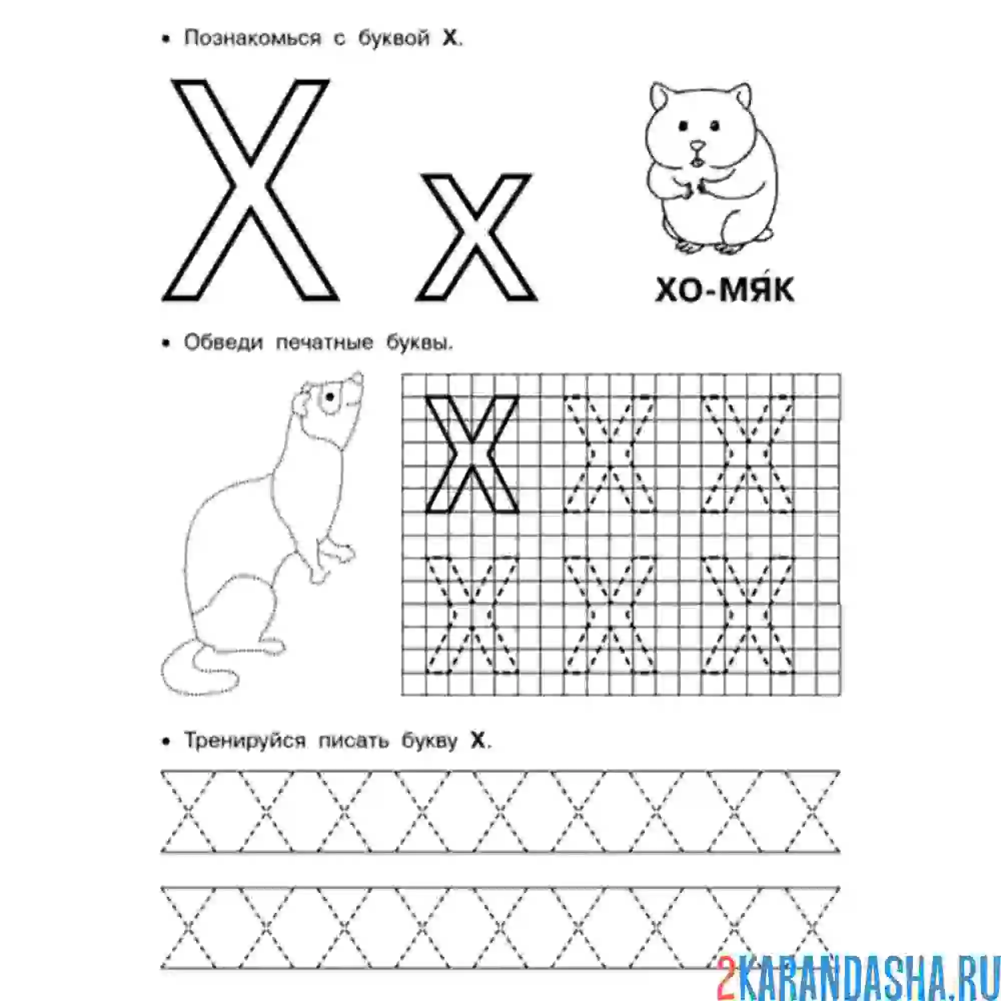 Раскраска бува х по клеточкам