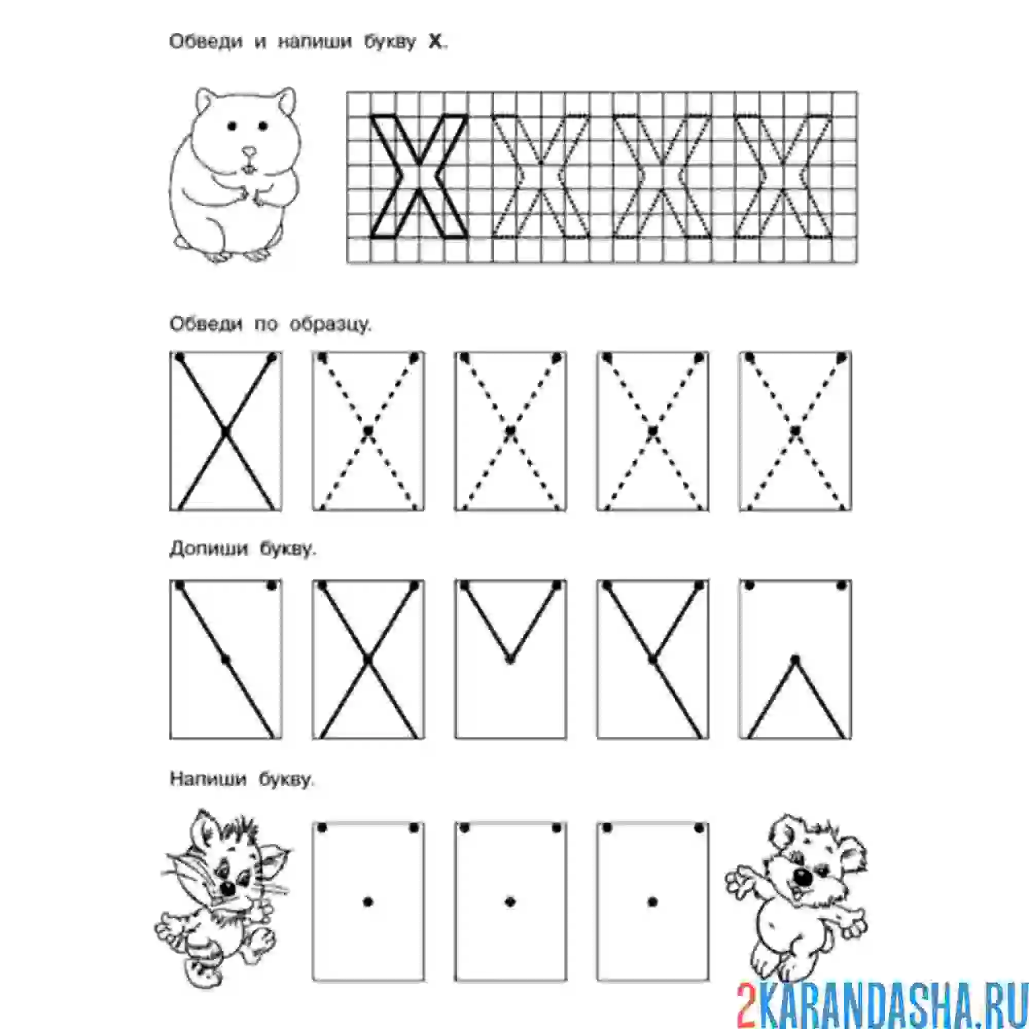 Раскраска буква х пропись дошкольник