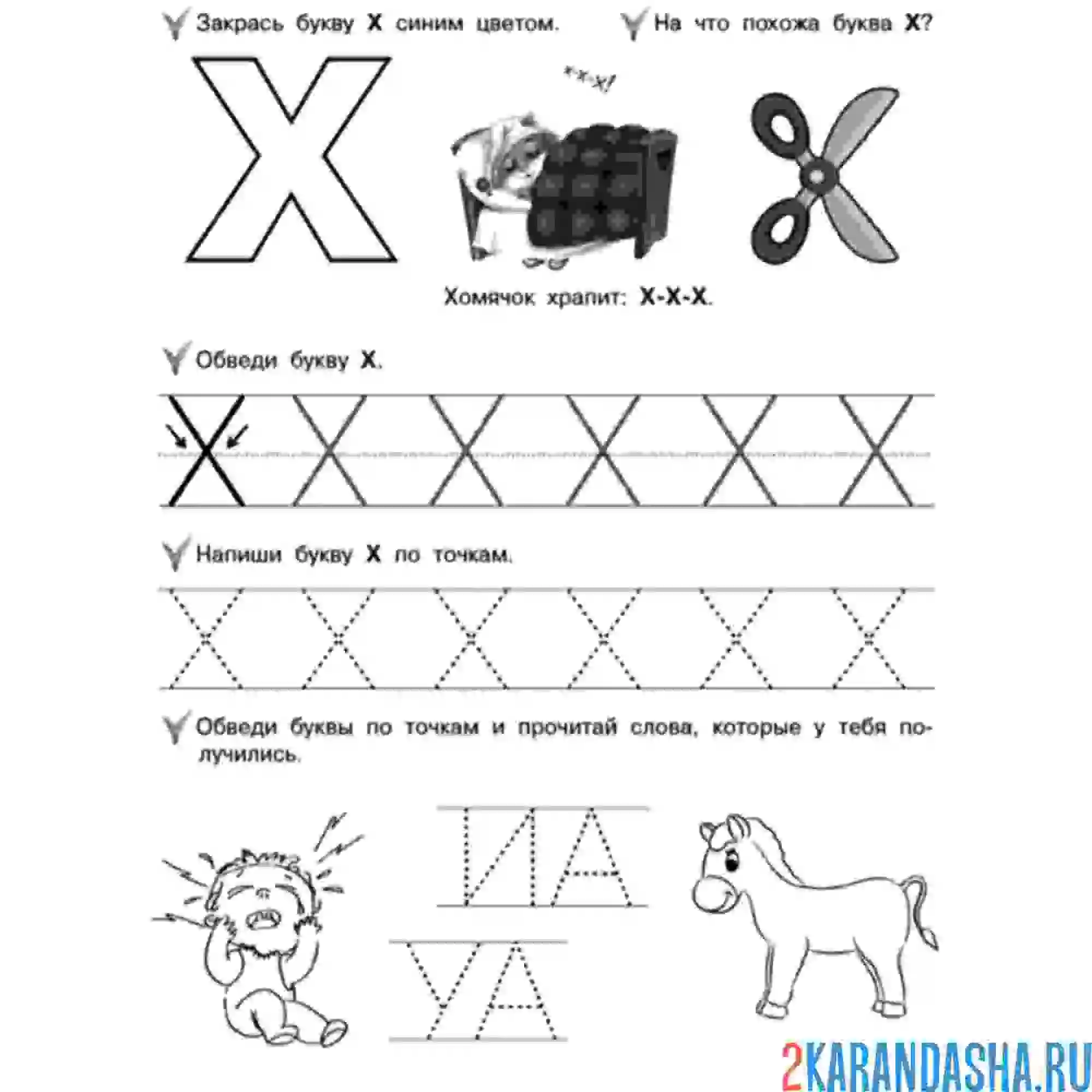 Раскраска пропись буква х печатная