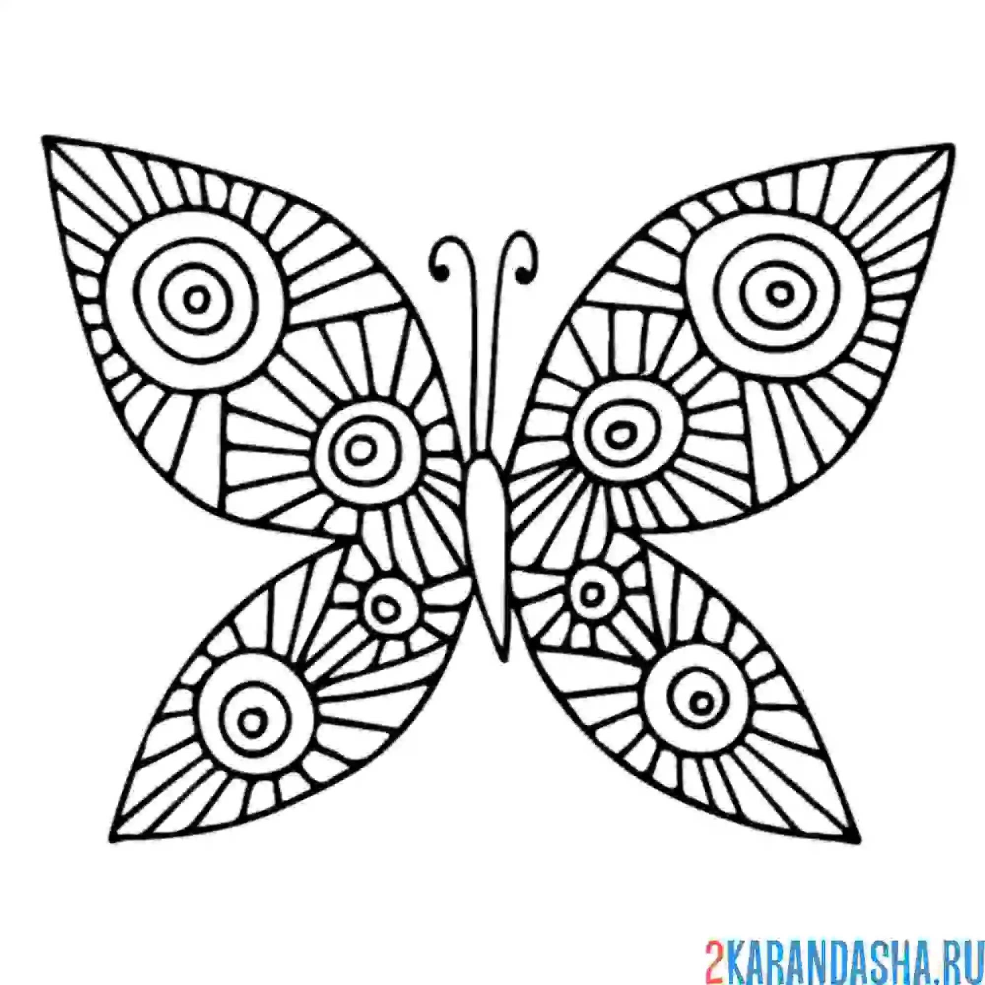 Раскраска бабочка антистресс круги