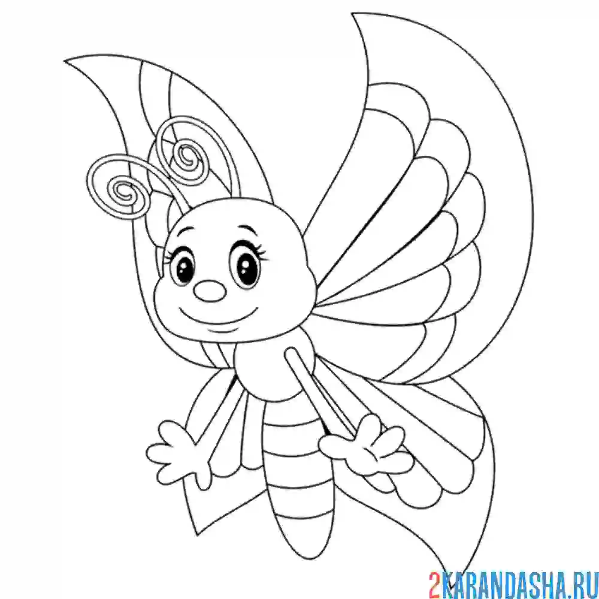 Раскраска бабочка мультяшка