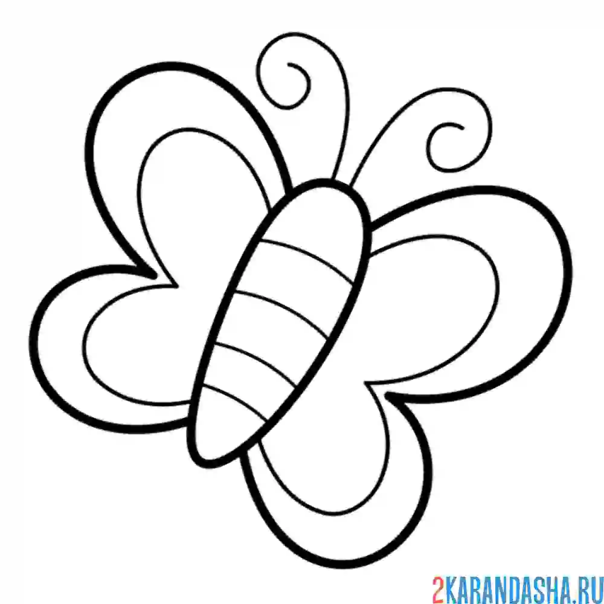 Раскраска простая бабочка маленькая