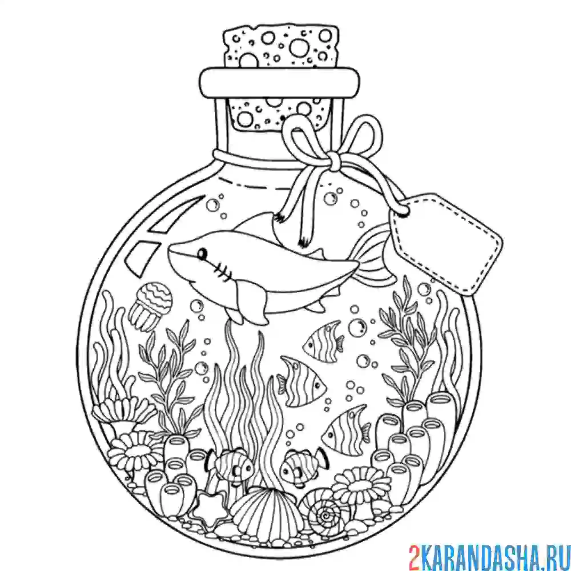 Раскраска сувенир акула