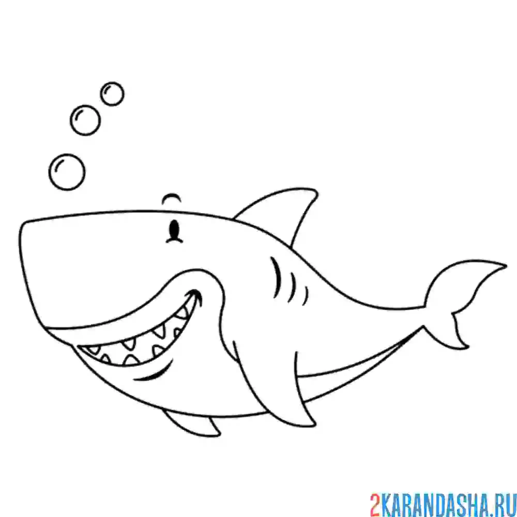 Раскраска акула под водой