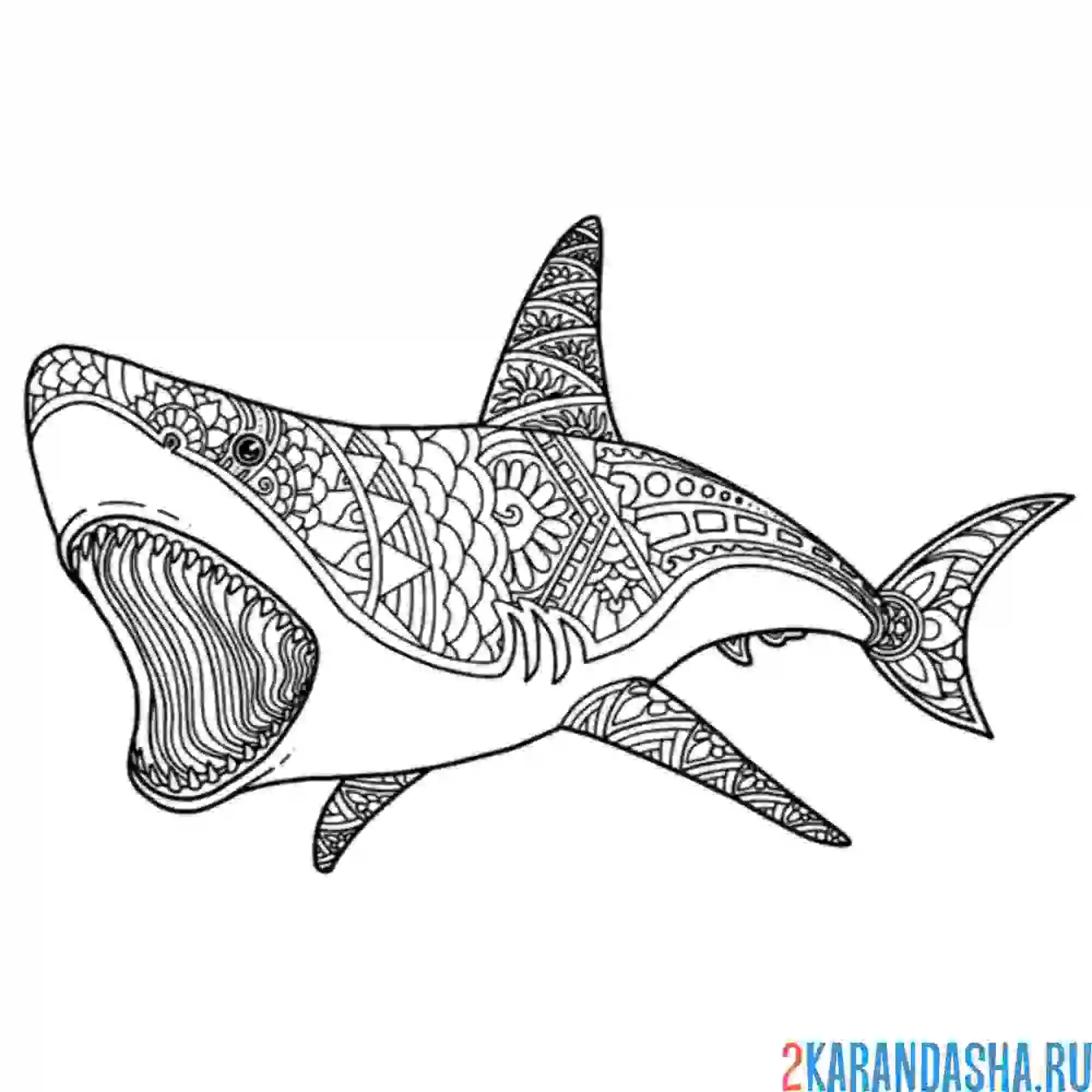 Раскраска акула-антистресс