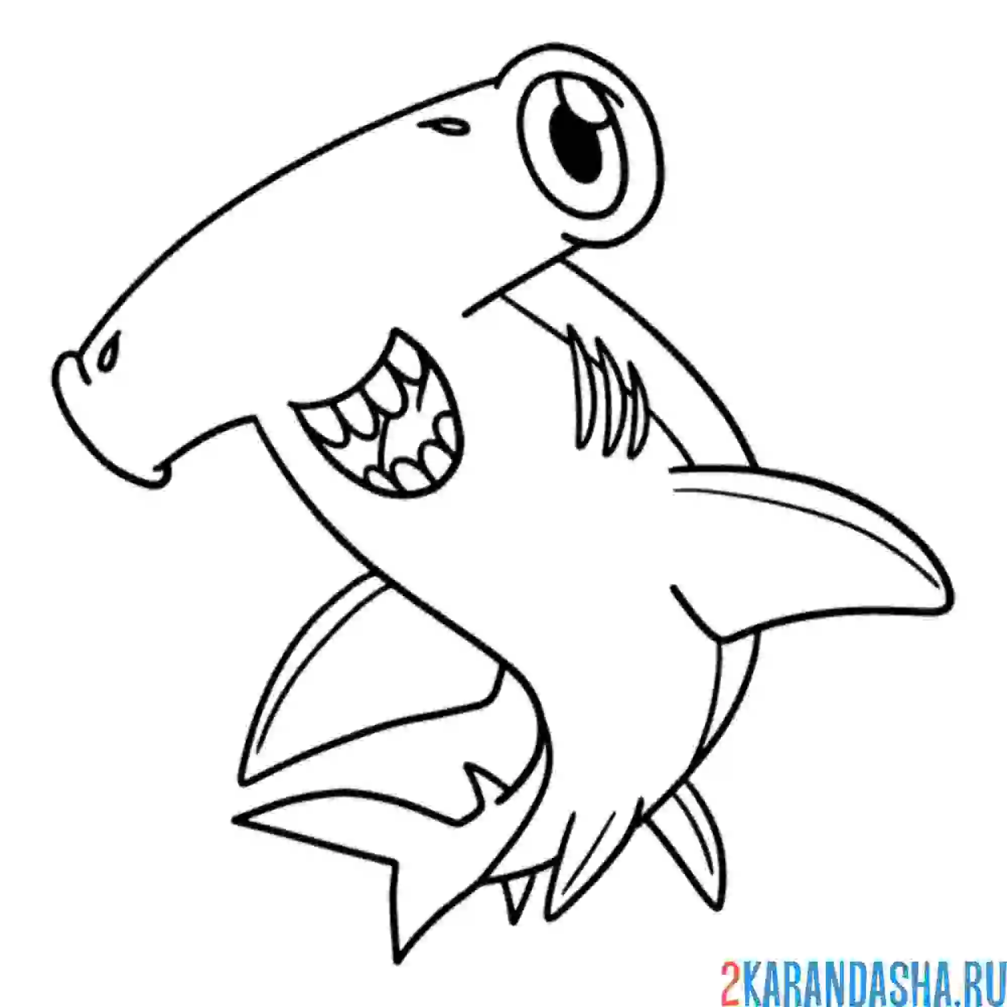 Раскраска молотоголовая акула