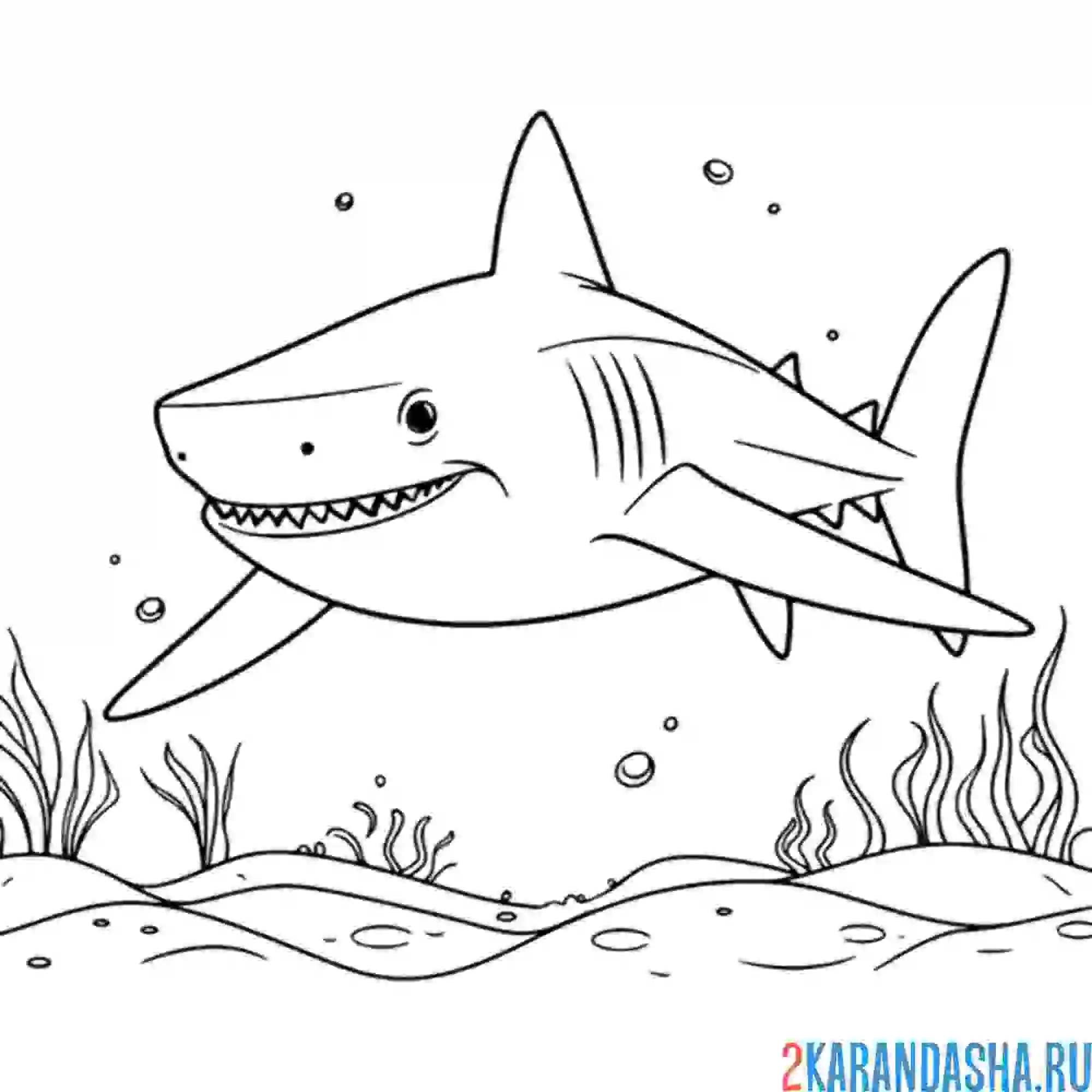 Раскраска зубастая акула