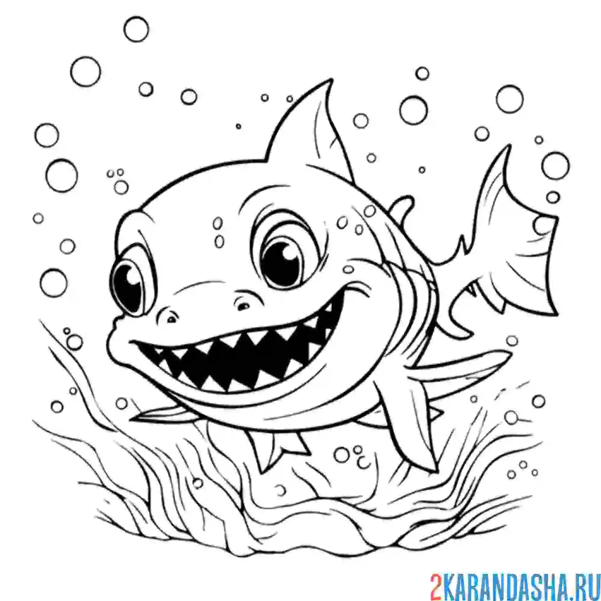 Раскраска маленький акуленок