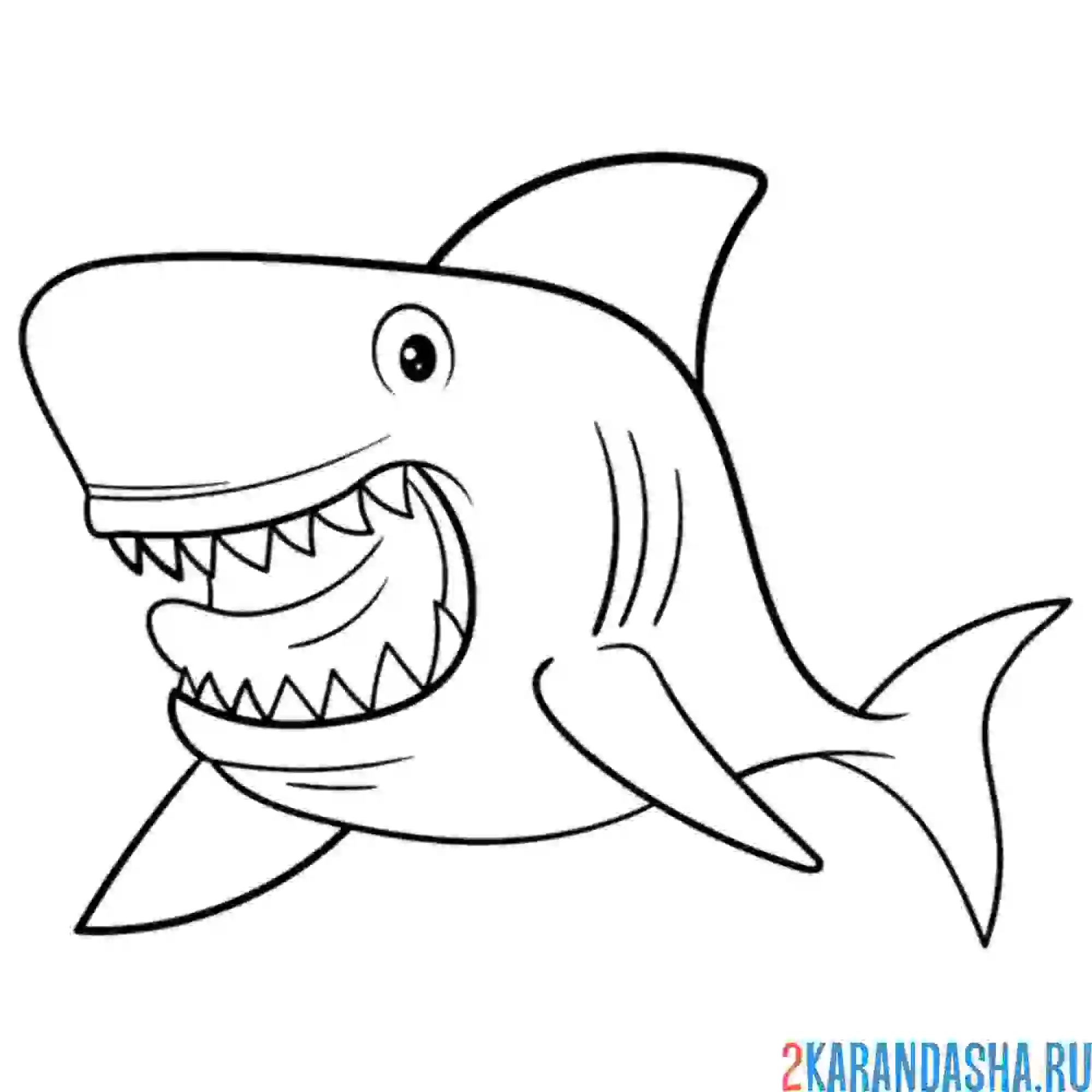 Раскраска зубы акулы