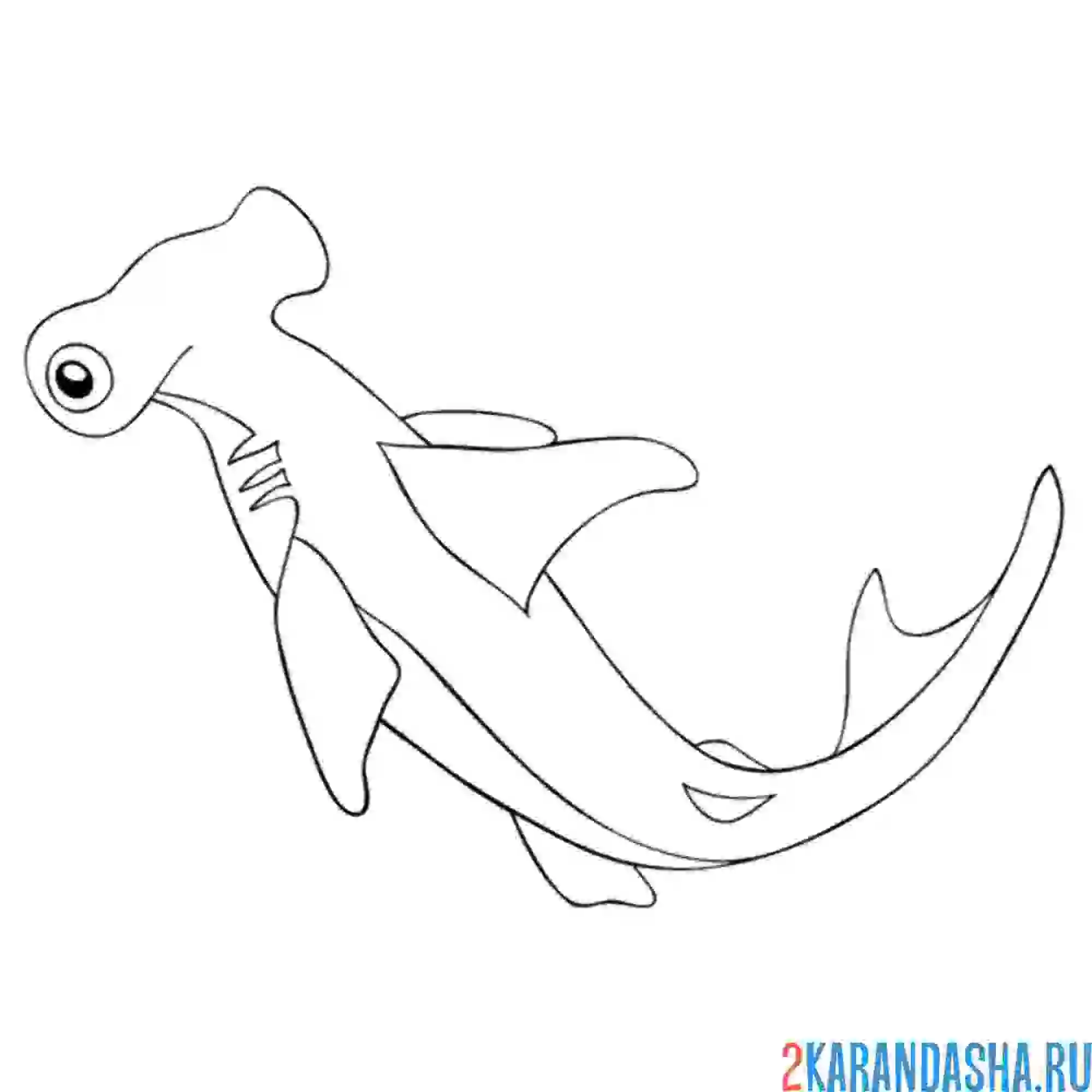 Раскраска голова молот акула