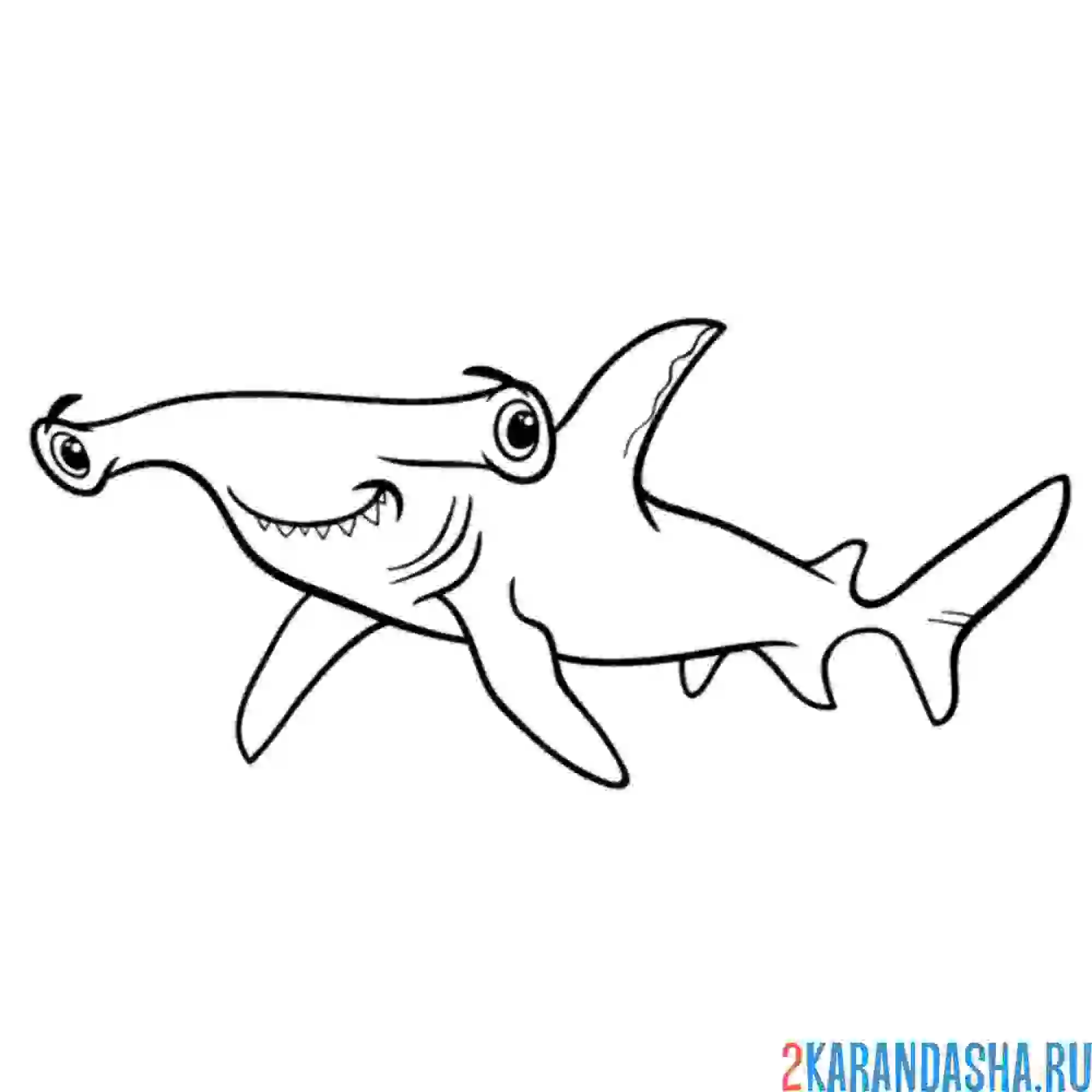Раскраска акула с молотом