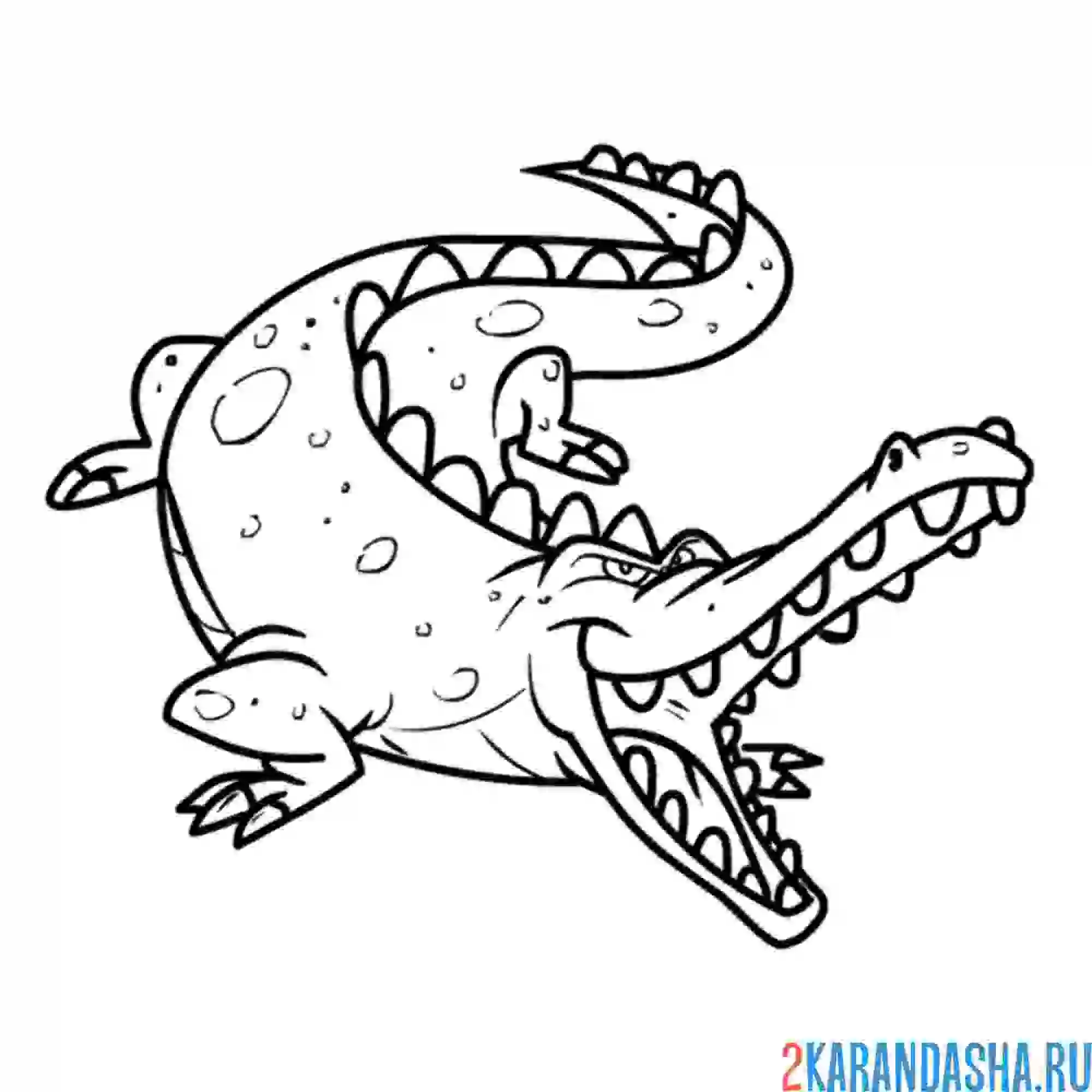 Раскраска аллигатор