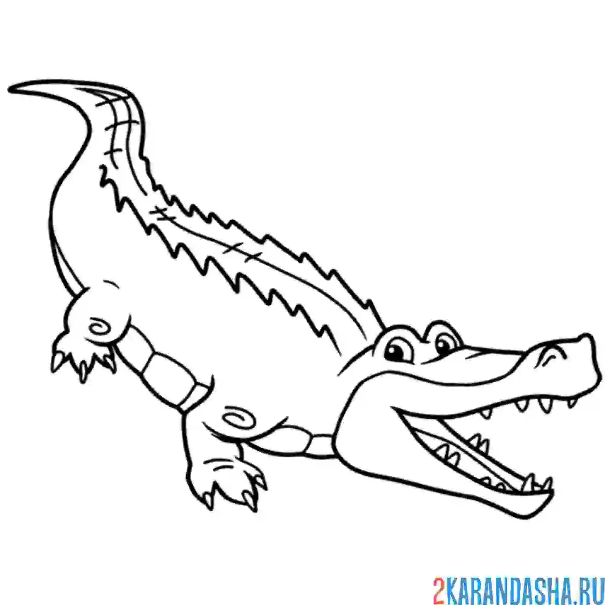 Раскраска крокодил с открытой пастью