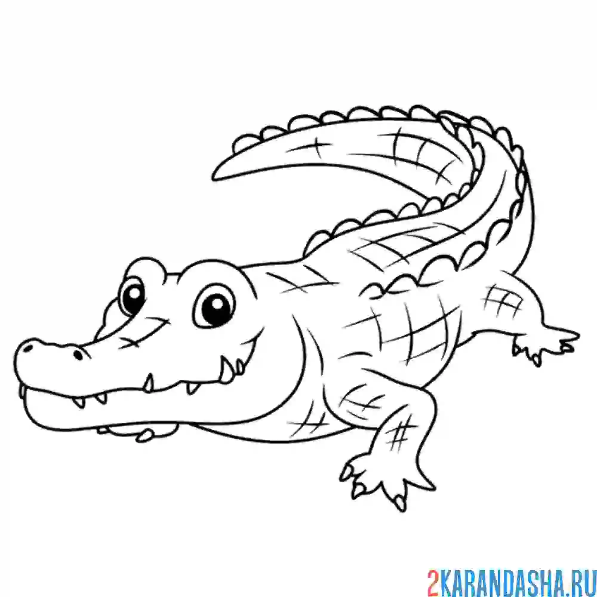 Раскраска крокодил-улыбака