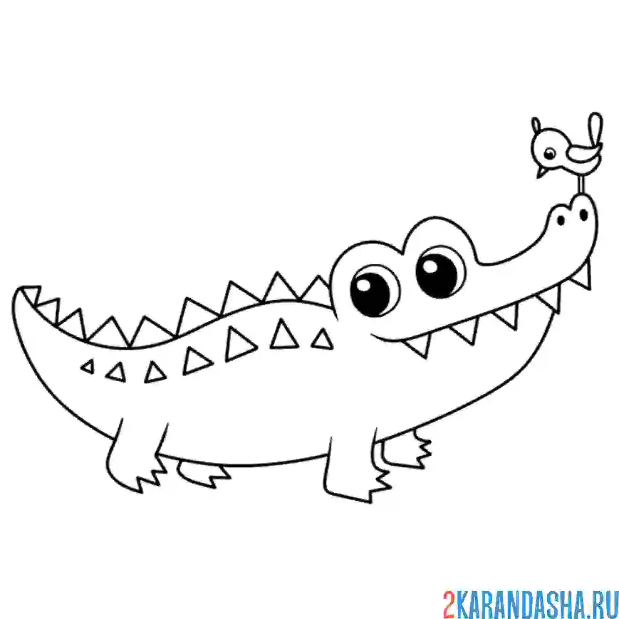 Раскраска простой крокодил с птичкой