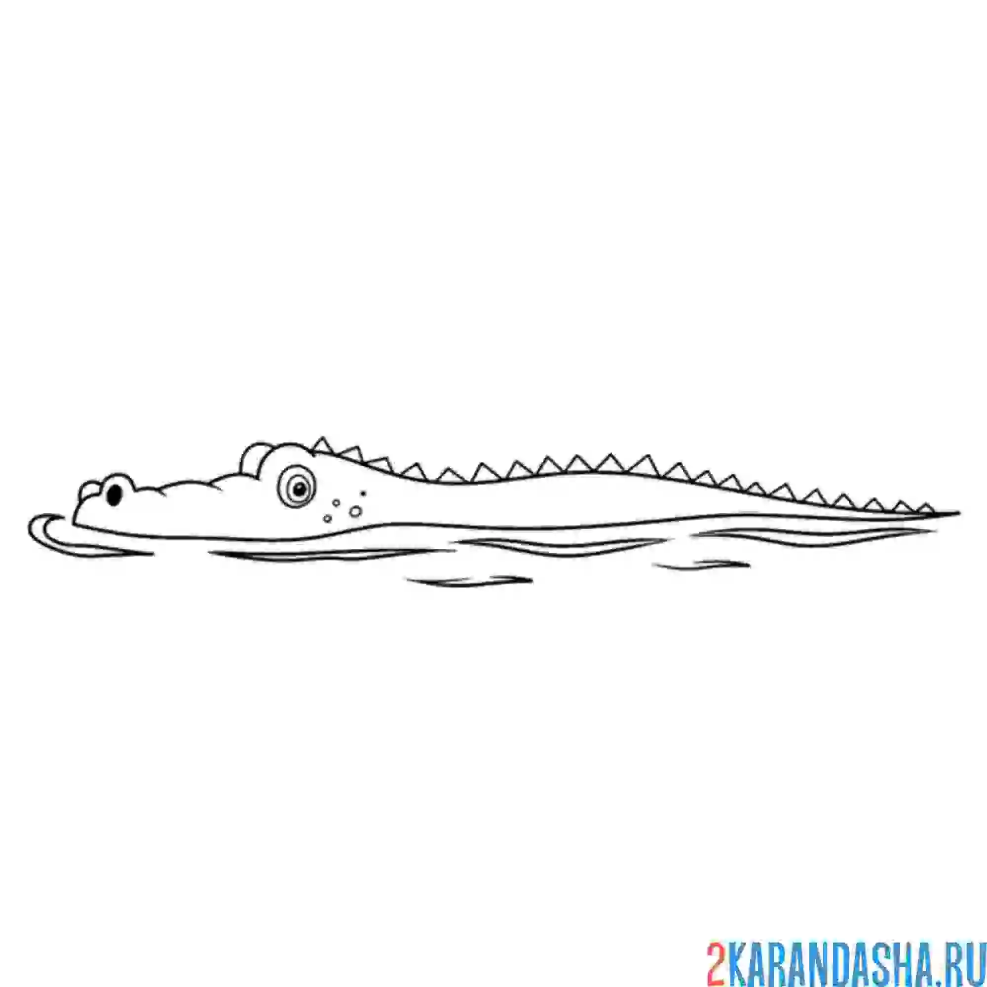 Раскраска крокодил в воде