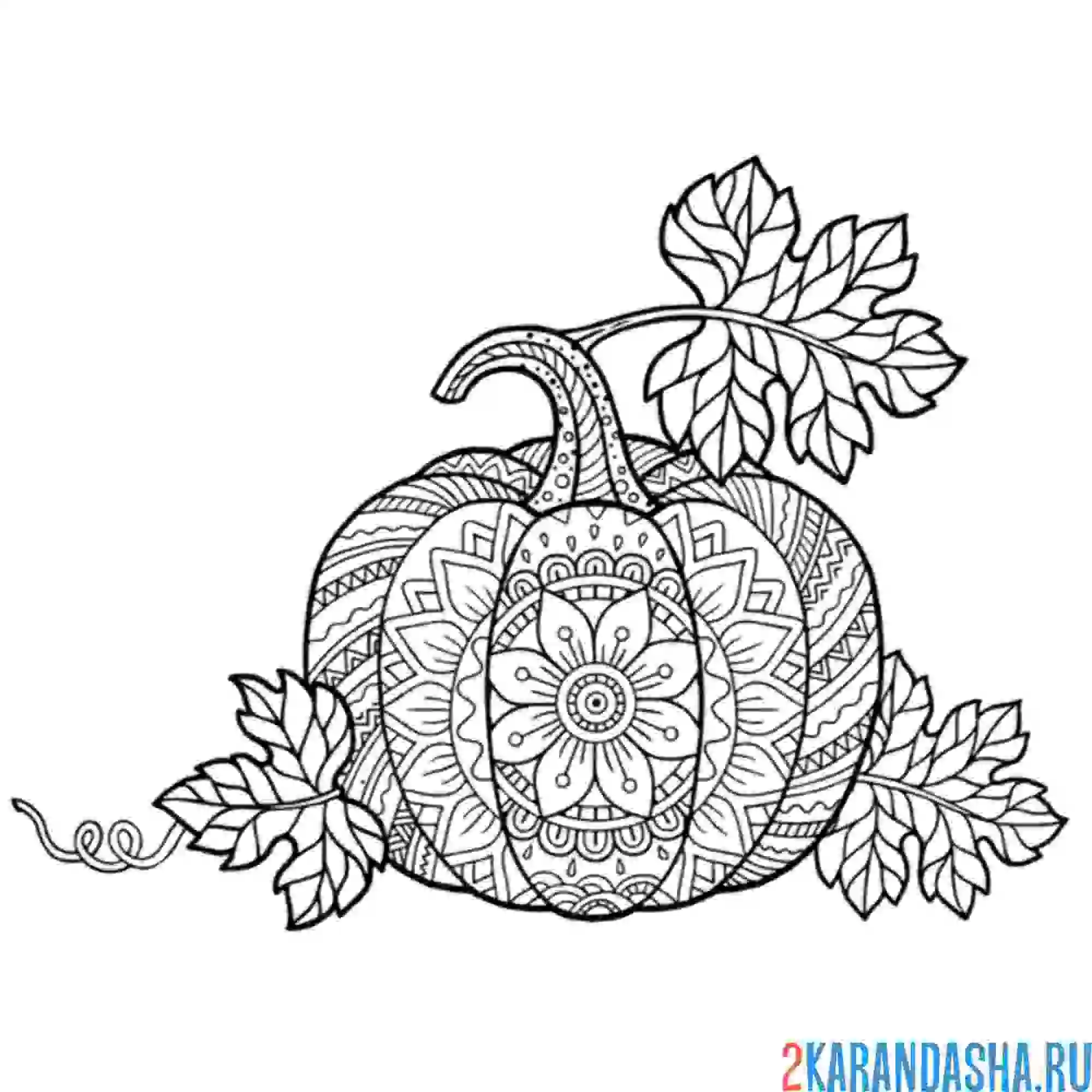 Раскраска антистресс-тыква