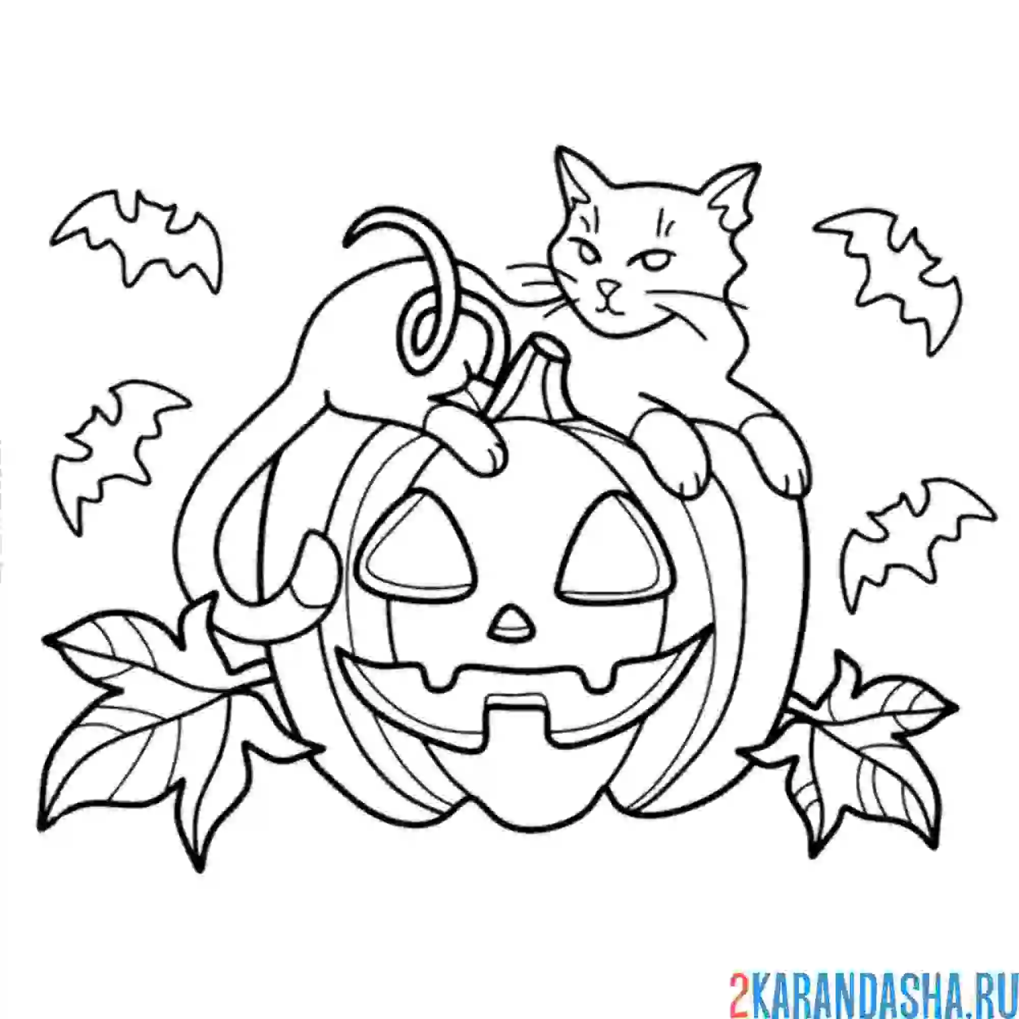 Раскраска тыква и котик