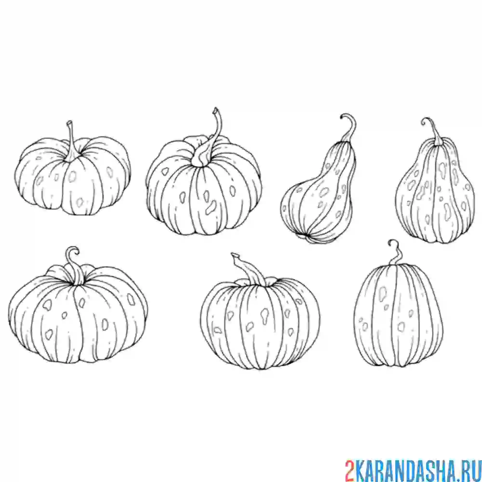 Раскраска разные тыквы