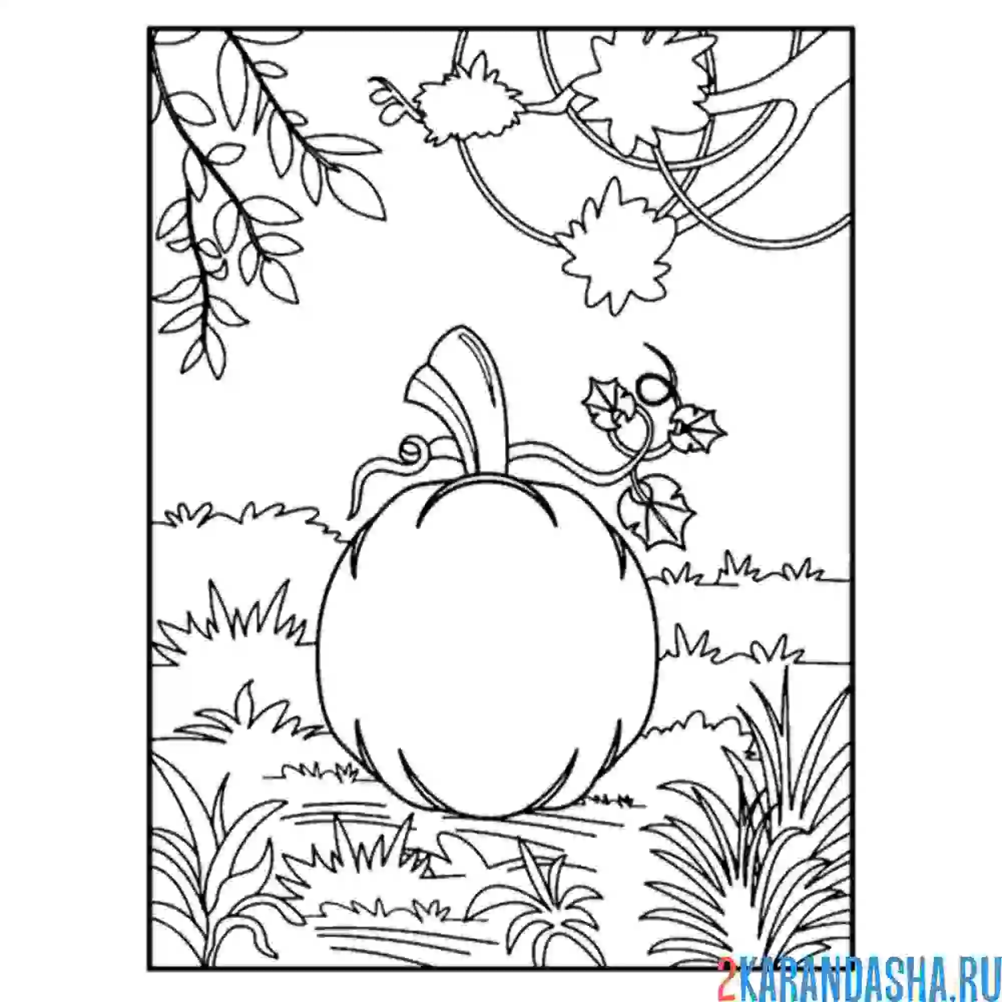 Раскраска тыква на земле