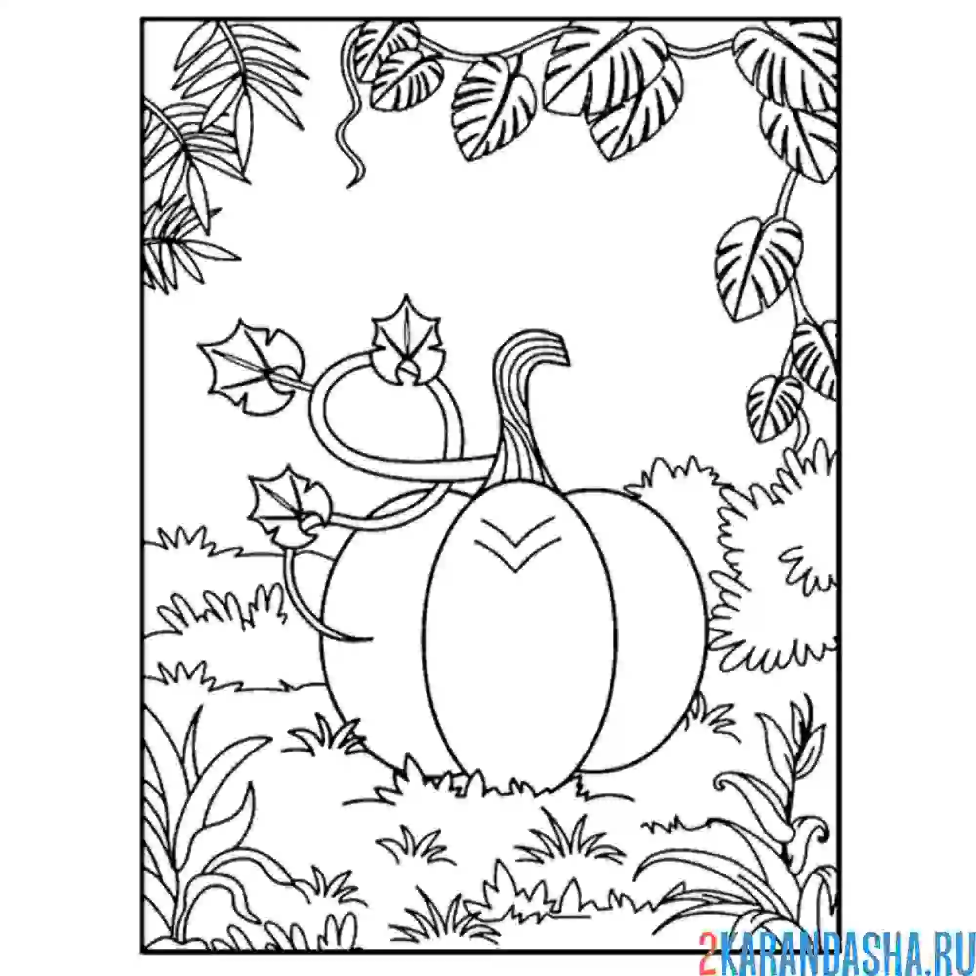 Раскраска тыква в лесу